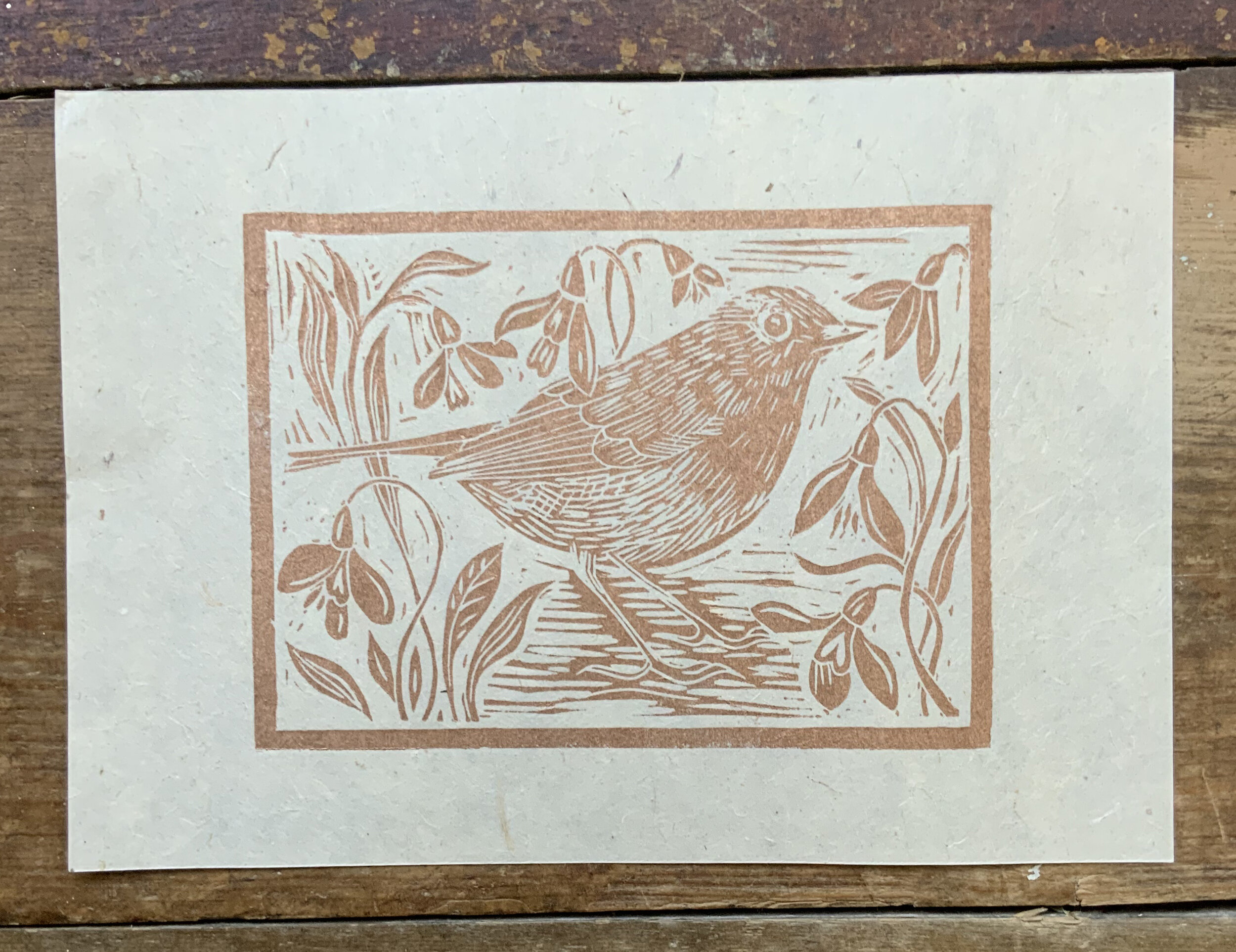 ROBIN CROPPED.jpg