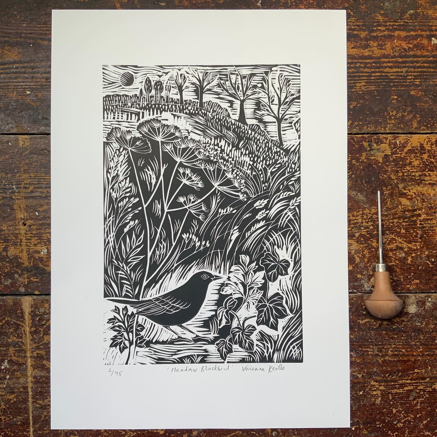 &lsquo;Meadow Blackbird&rsquo; 

This print is now on the website! I had not listed it so you can now buy the original print! 

It&rsquo;s A3 paper and the print size is 20cm x 30cm. 

I was inspired by the lovely Warren Farm and my walks in the urba