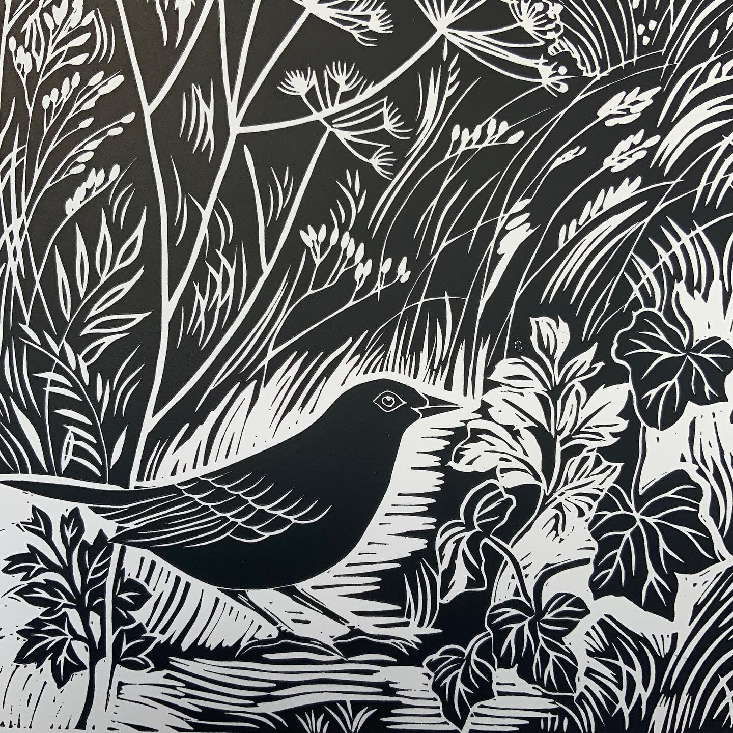 &lsquo;Meadow Blackbird&rsquo; 

Detail of my blackbird print.

Printed on A3 paper and the print is 20cm x 30cm 

Head over to my website if you would like one. 

viviennekeable.com

Free UK postage! I ship worldwide too. ✉️ 🐦 
.
.
.
#blackbird #li