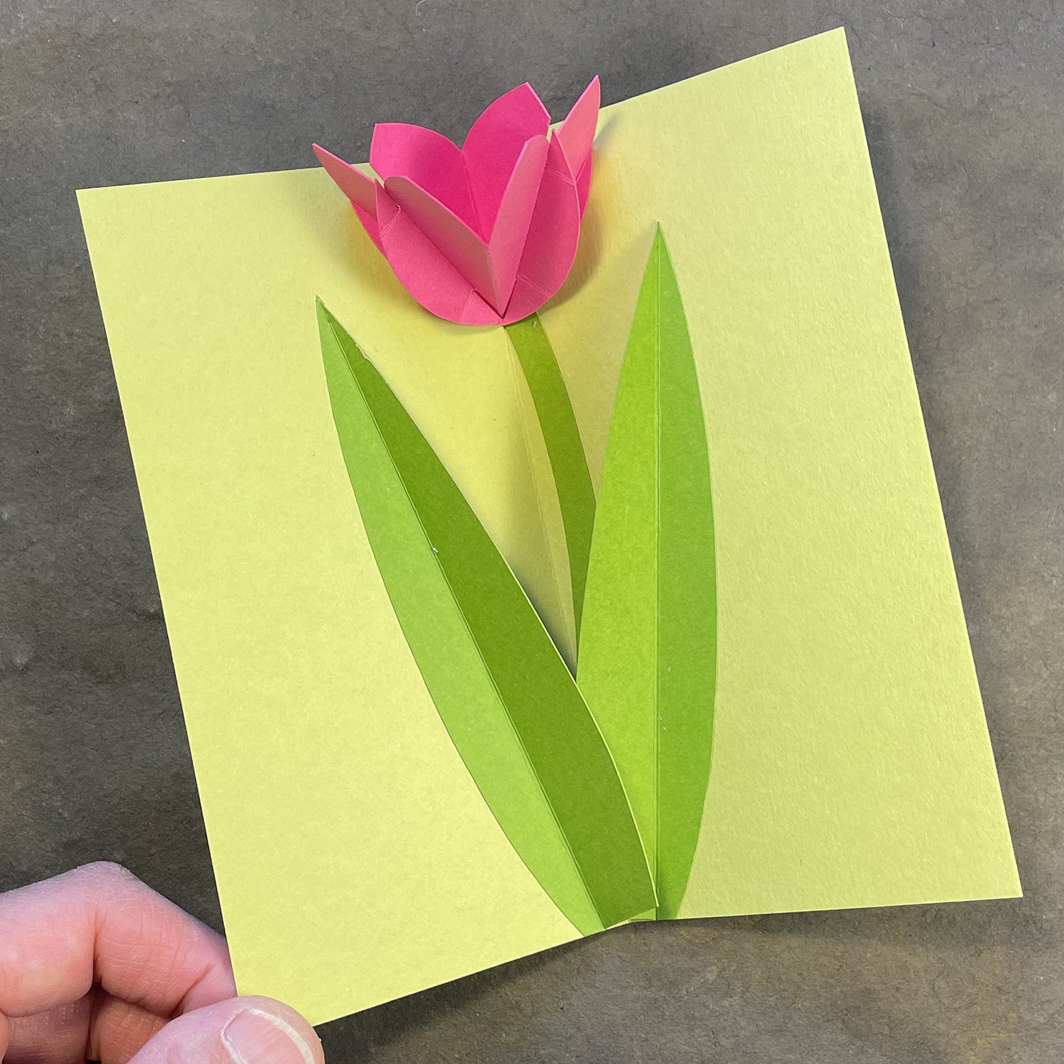 Pop-Up Tulip Card