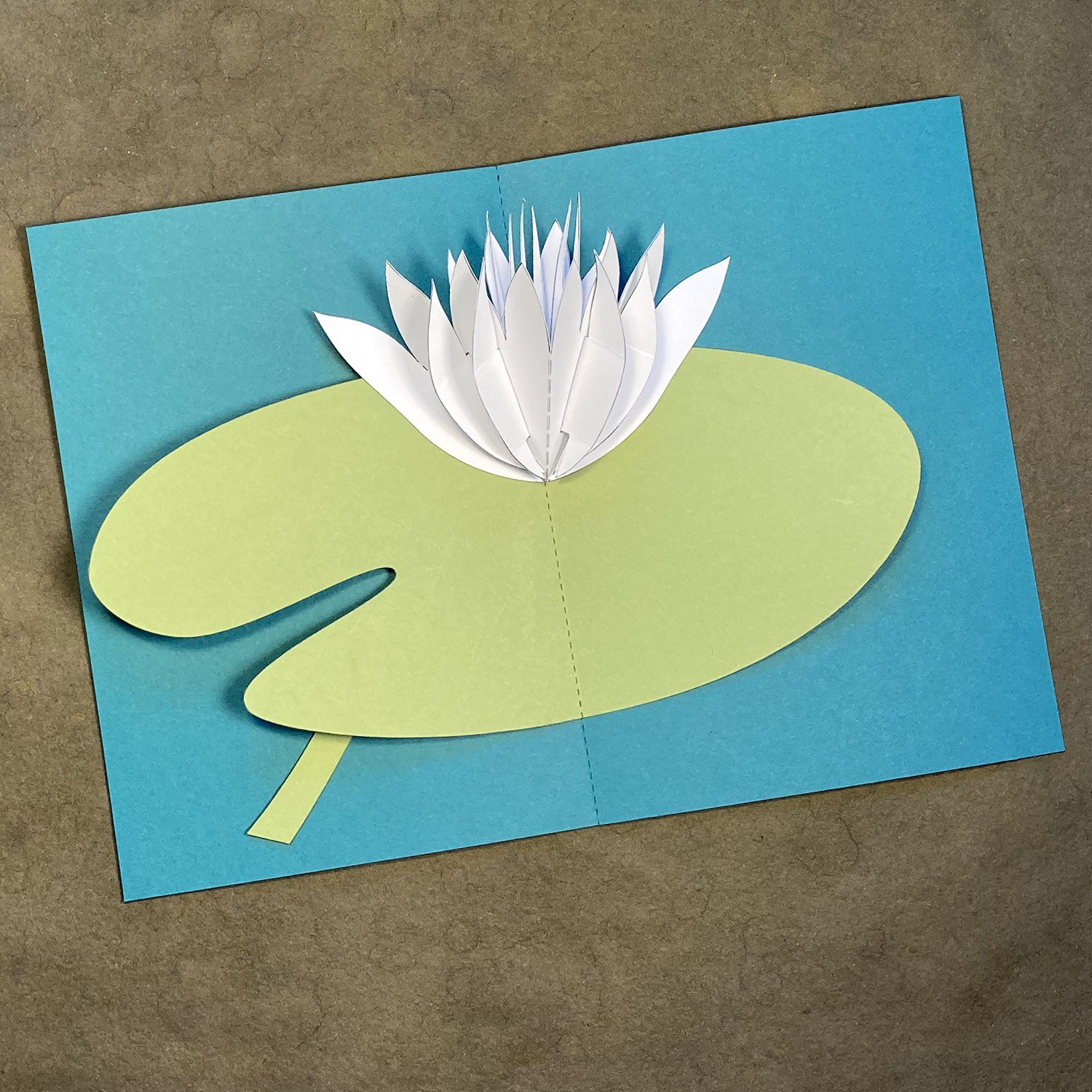waterlily.jpg