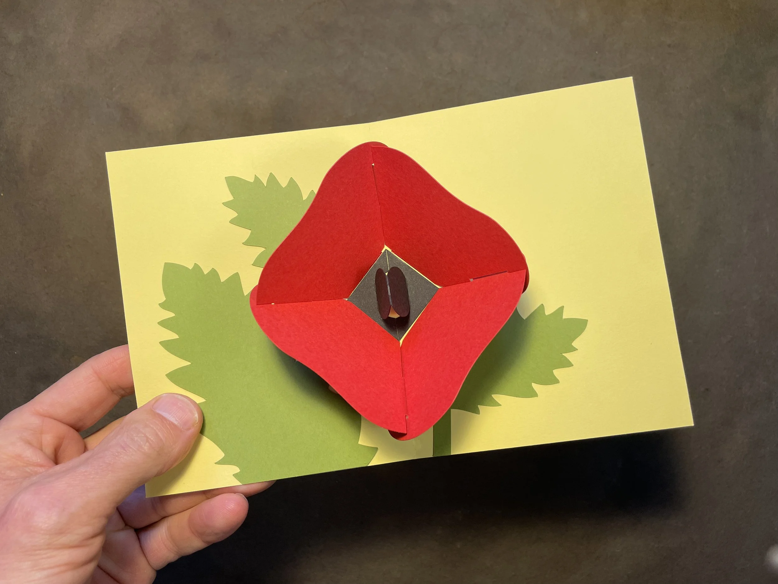 Opium Poppy Pop-Up Card