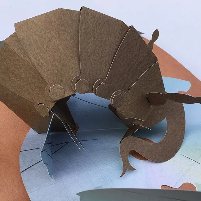 5b_pt_detail.jpg