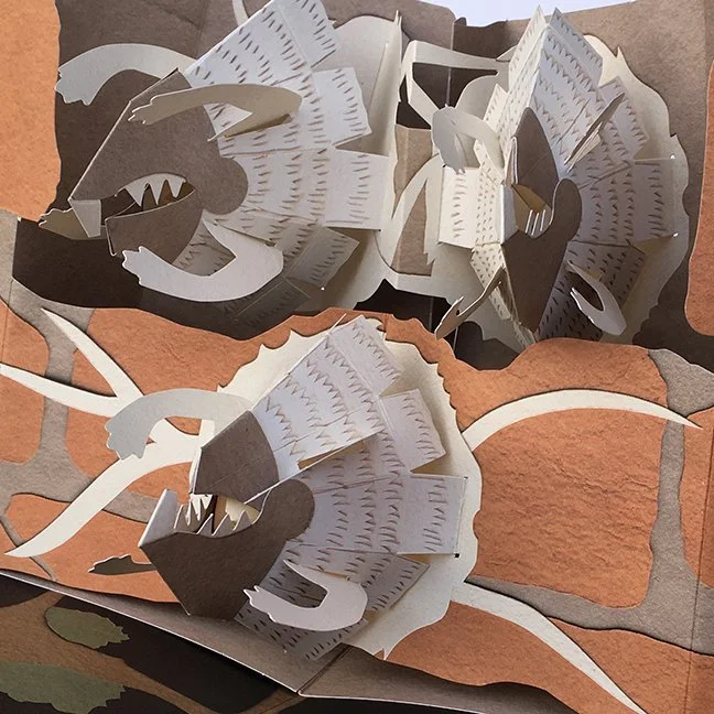 9b_rotrap_detail.jpg