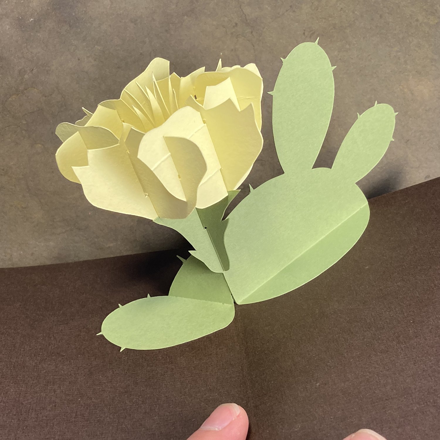 pricklypear.jpg