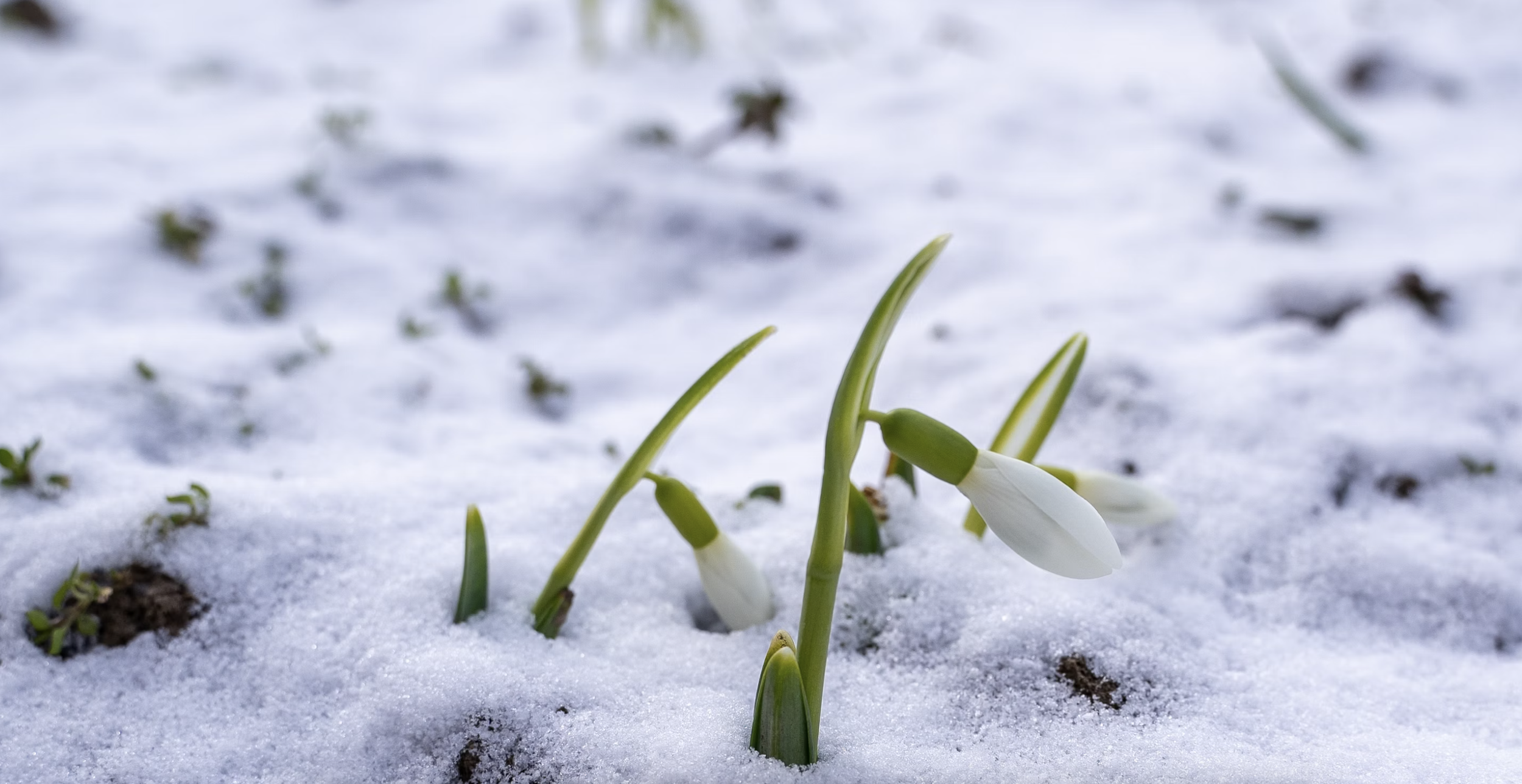 How I Broke Through: The Messy Process I Used to Develop a Differentiated Premise