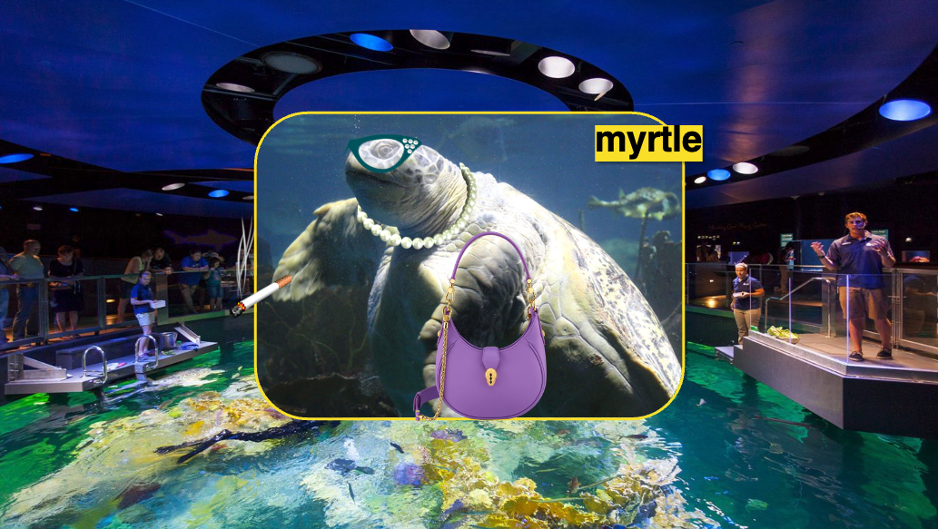 Myrtle the Turtle and Content Creators' Mountain of Missed Opportunity 