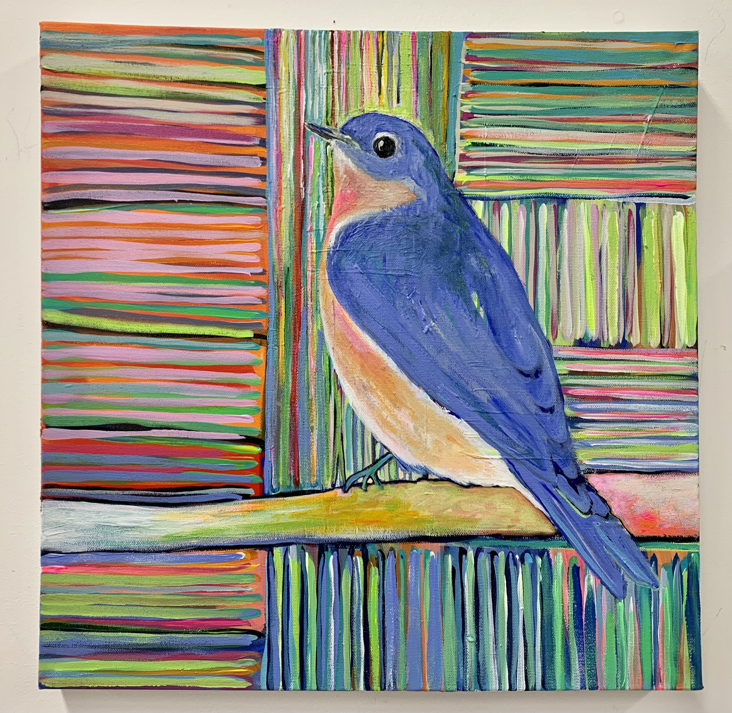 Bluebird #2