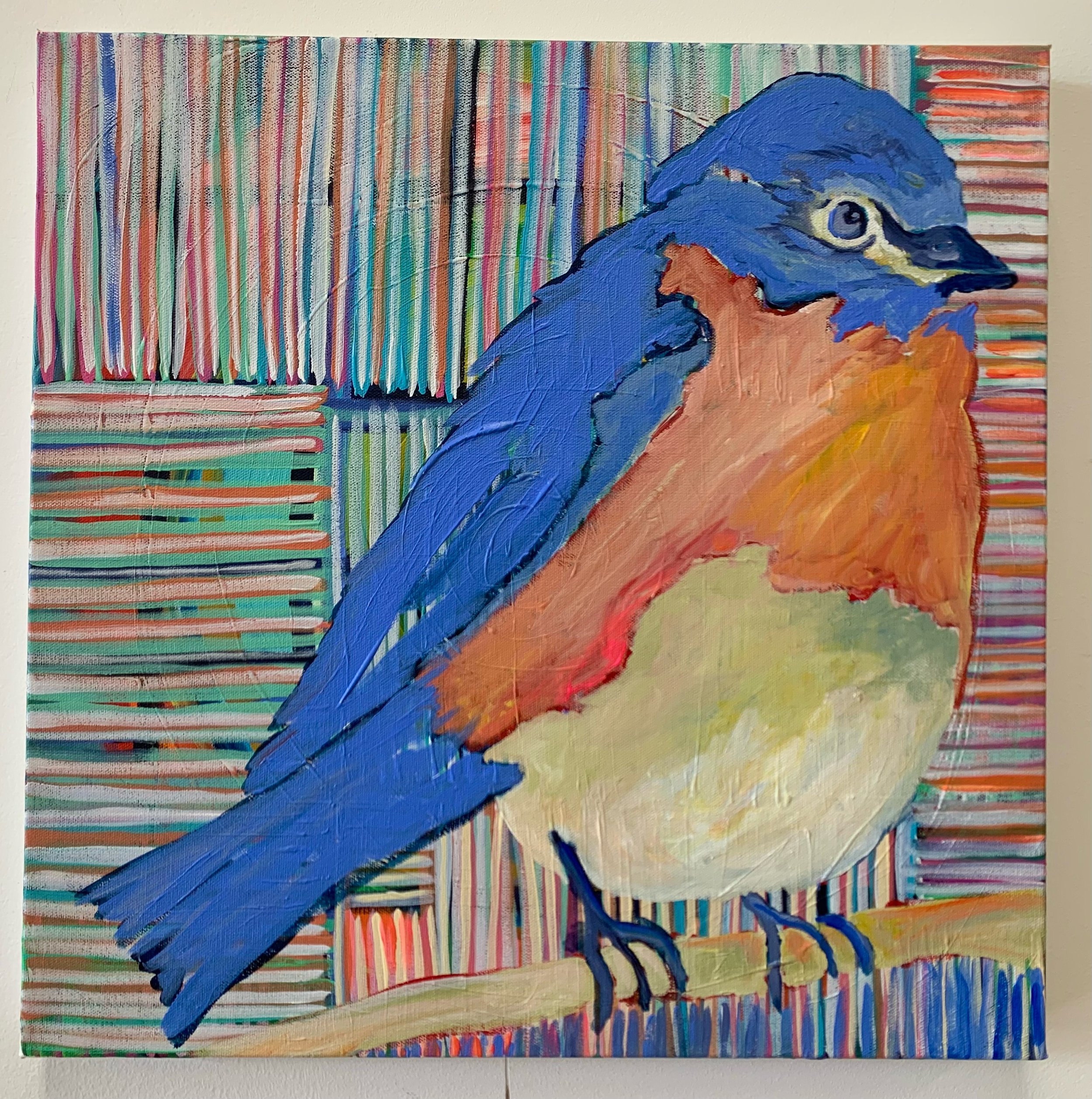 Bluebird #3