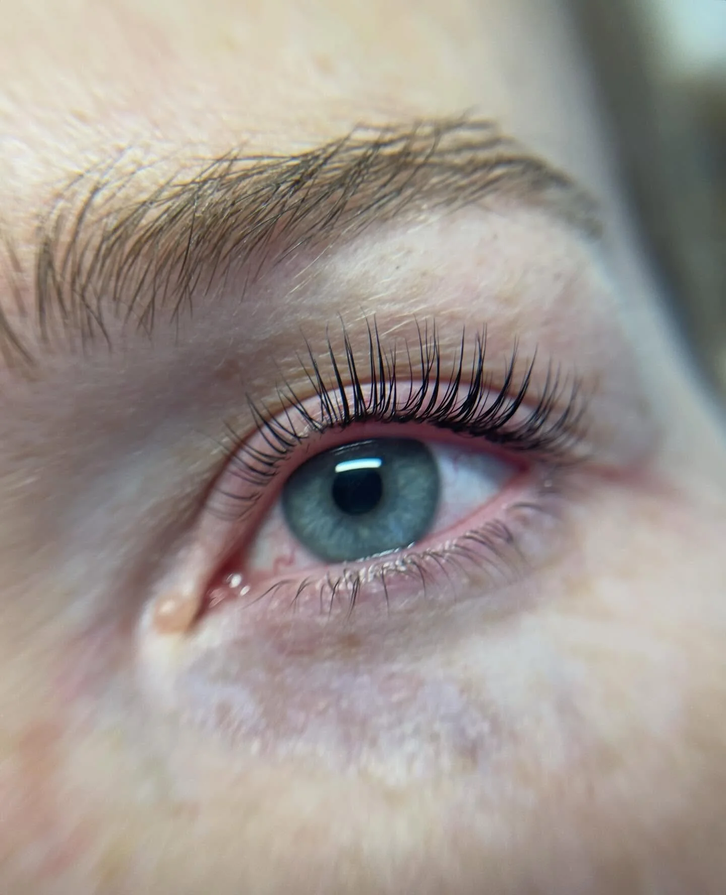 Korean lash lift ja sun omat ripset on sen j&auml;lkeen aivan next level! 
Ei taivuttimia eik&auml; ripsaria noin 6-8 viikkoon. Milt&auml;s sellanen helpotus kuulostaisi? 💜
Maaliskuun ajan p&auml;&auml;set testamaan t&auml;t&auml; uutta tekniikkaa t