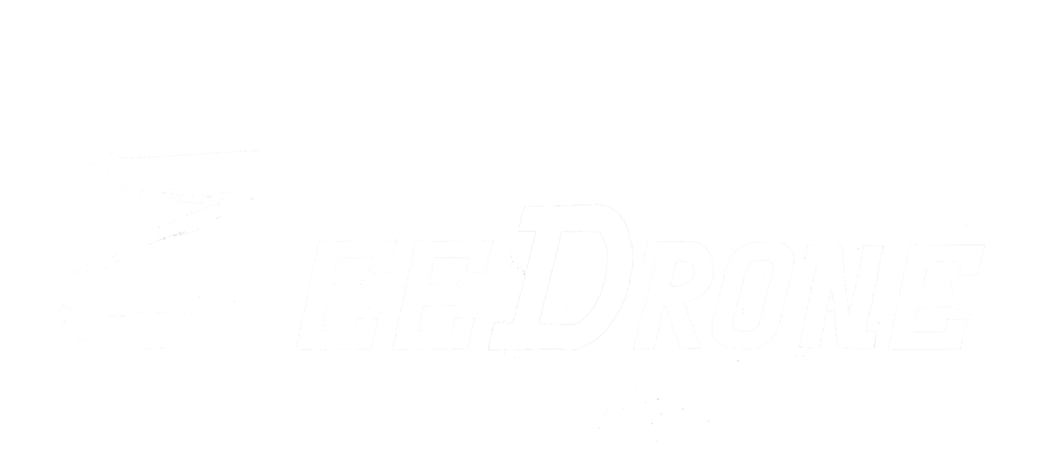 ZeeDrone