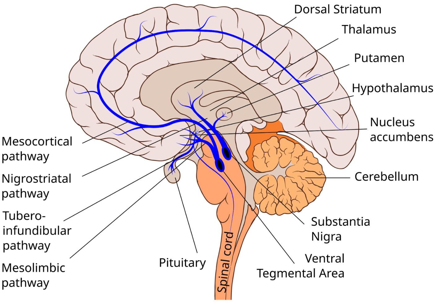 image6.png