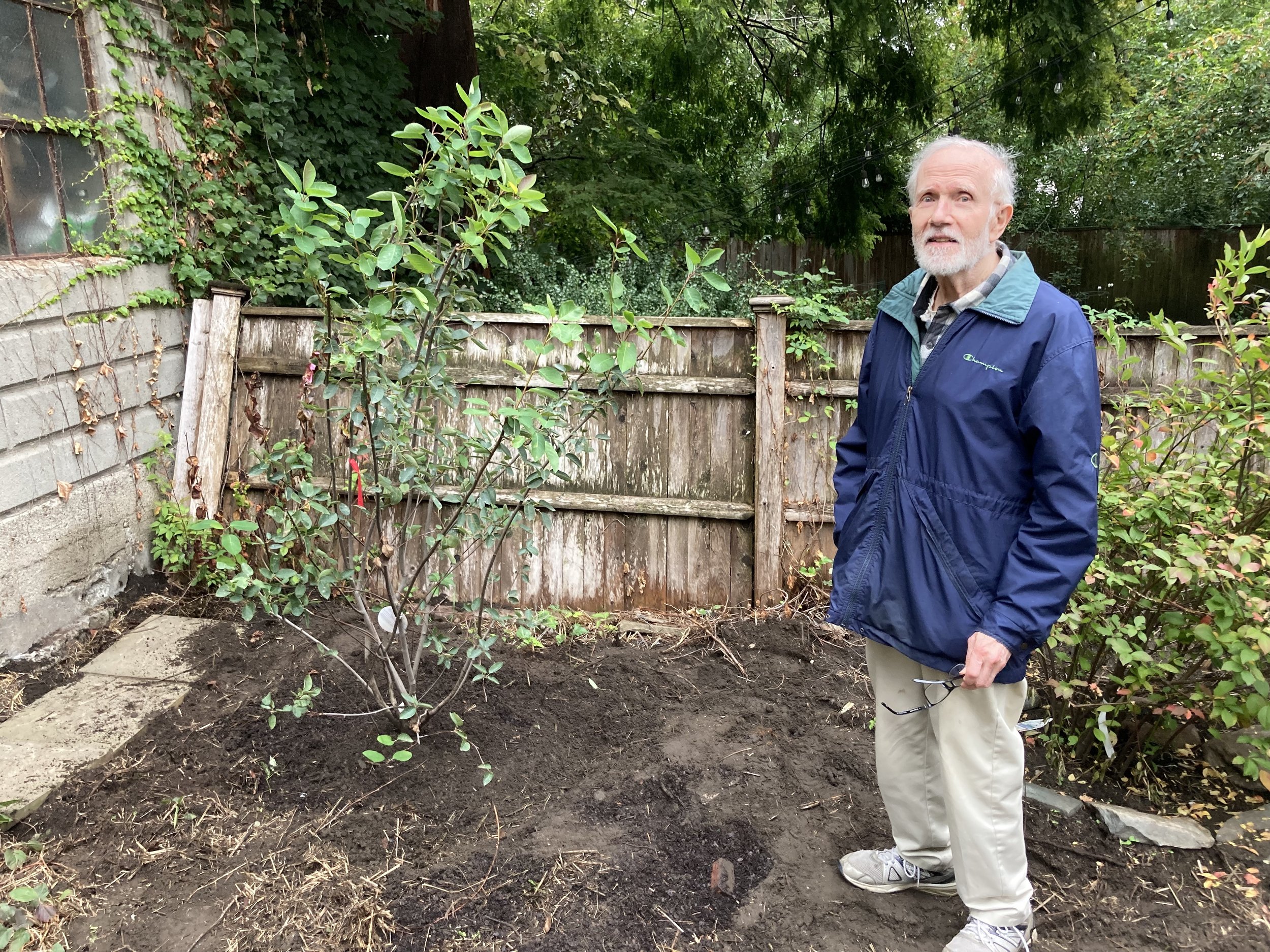 AFTER: Client with baby Serviceberry (Autumn Brilliance)
