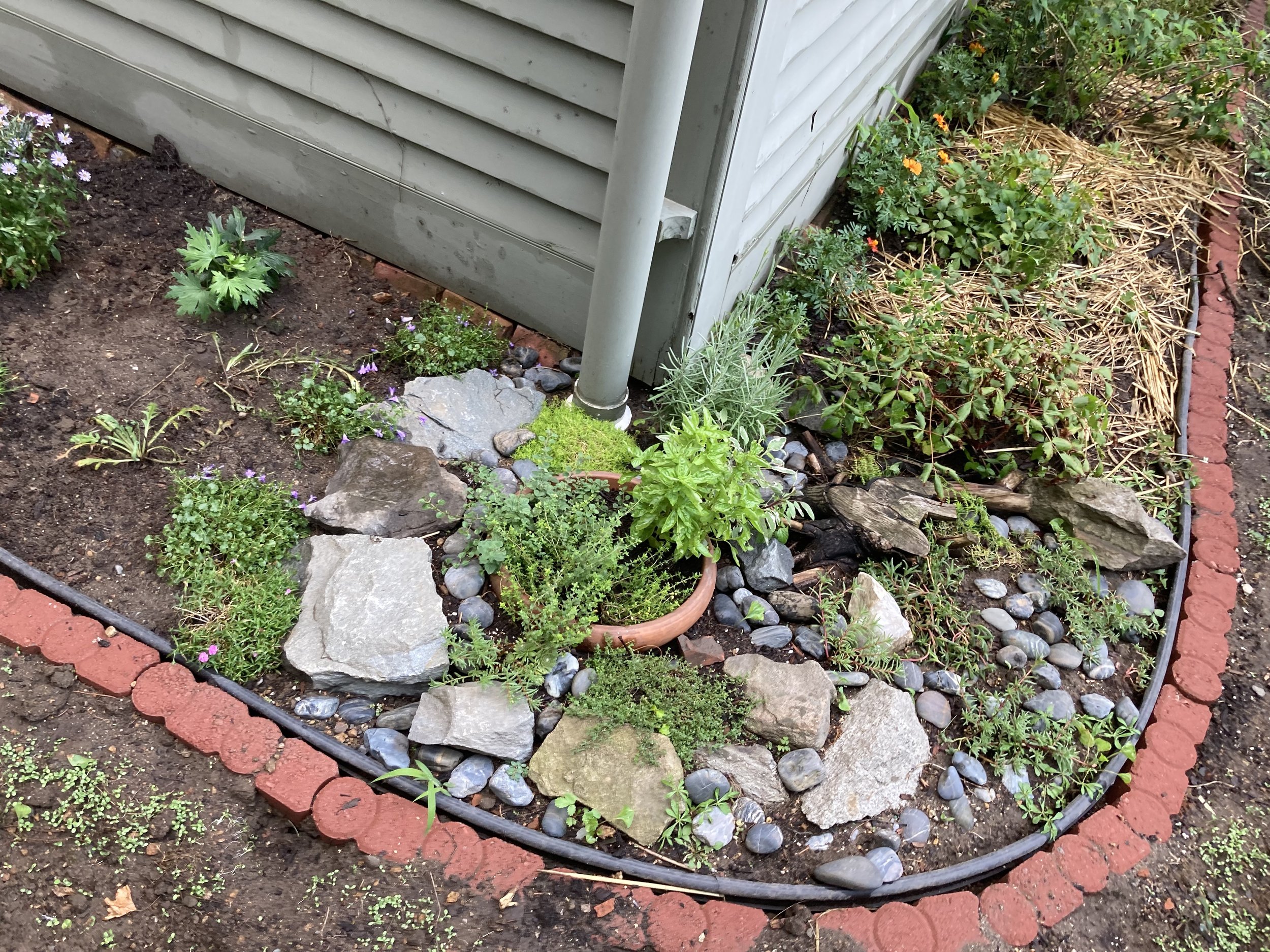 Rock Garden and light hardscaping