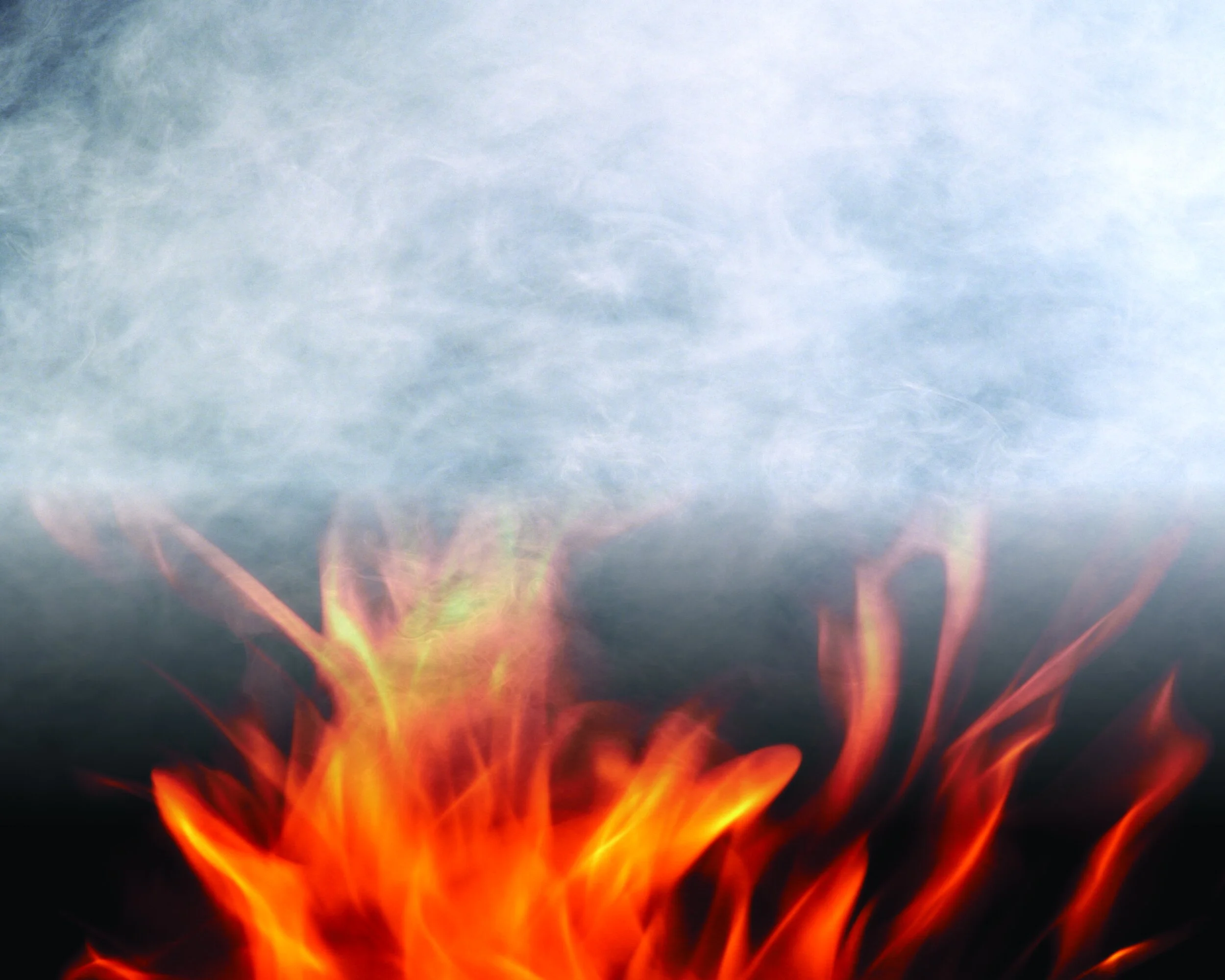 Science Alliance — The Science Alliance