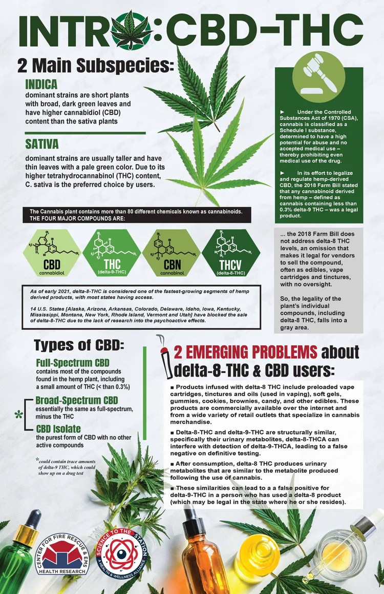 Intro to CBD & THC infographic