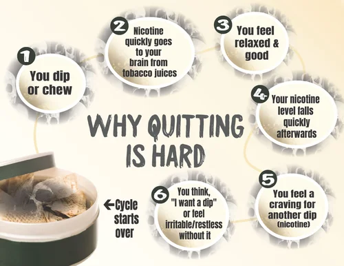 Why Quitting Is Hard infographic