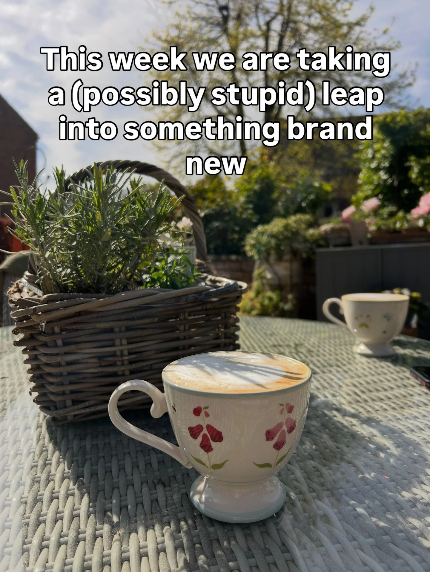 Wish us luck - we think we might need it!! 

We love an exciting new project - but I wonder if this one will be a bit of a step too far?!

We have a courtyard full of beautiful new plants from @thehairypotplantcompany as well new pots &amp; planters 