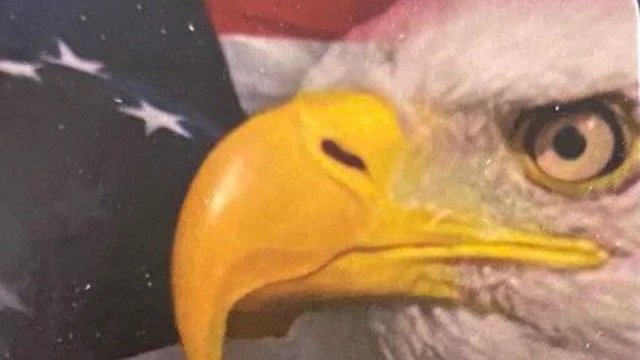 Butte Co “Come &amp; See” Community Potluck and Freedom Movie