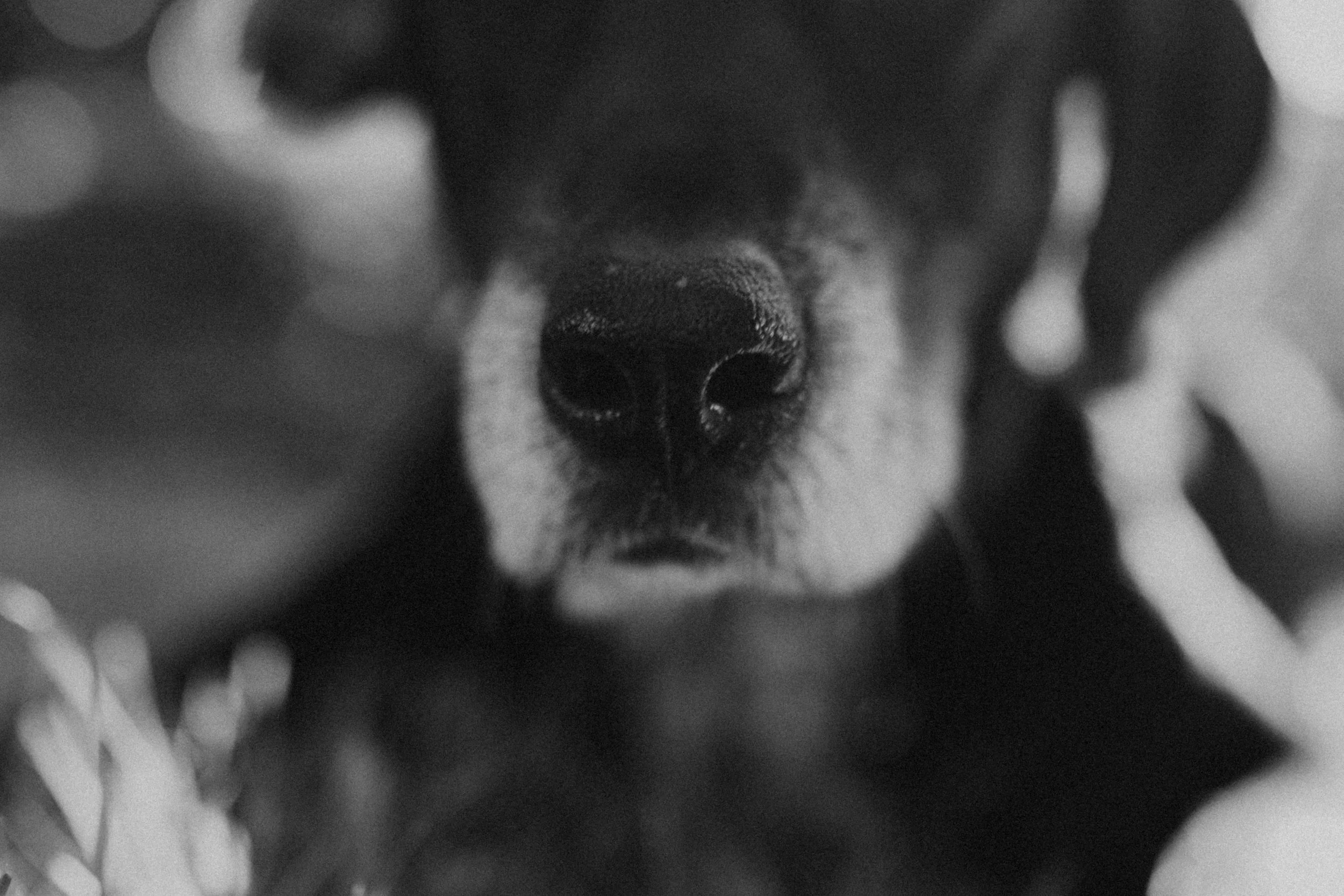 Natalie Dawn Photo 014A.JPG