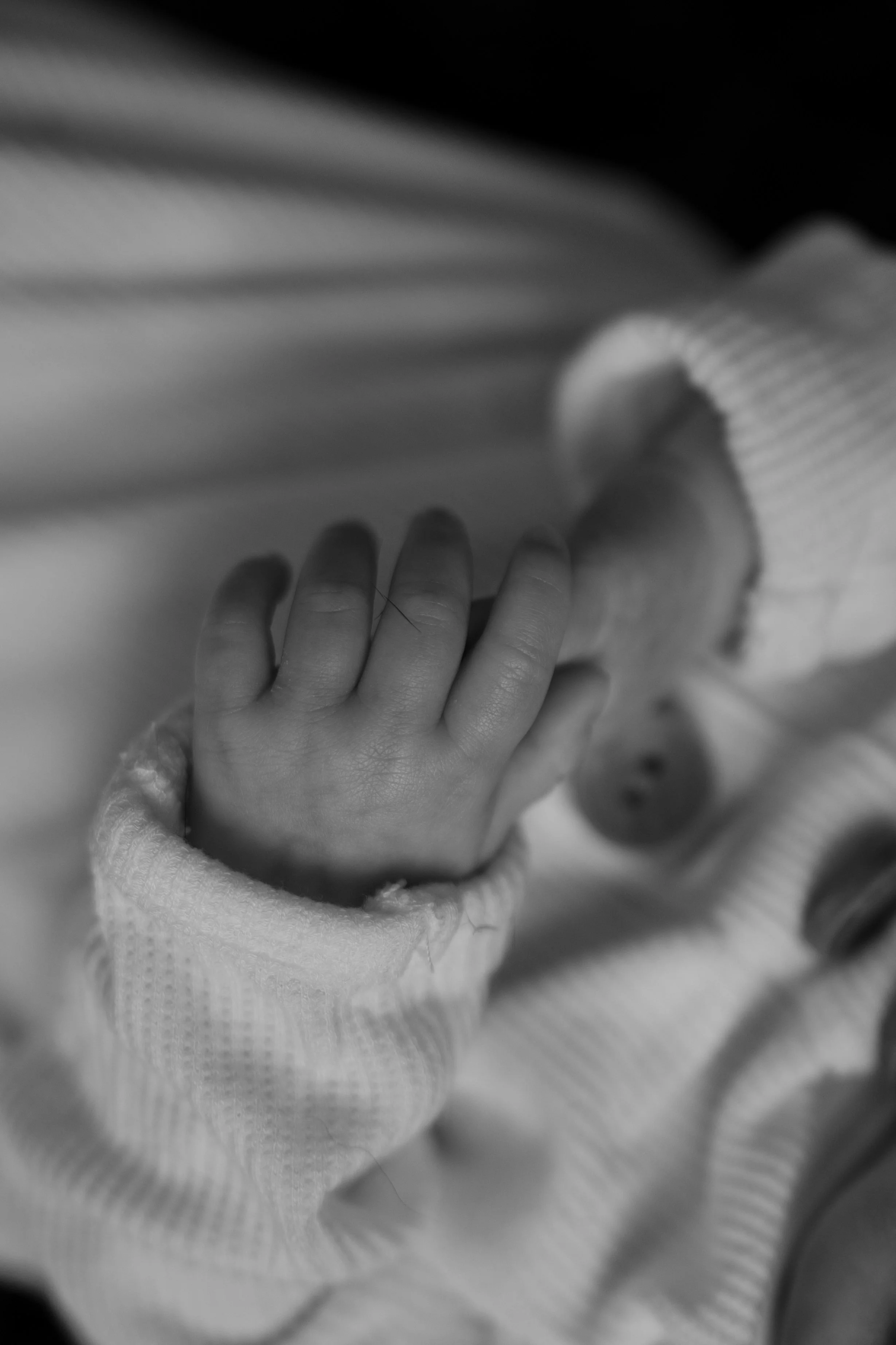 Natalie Dawn Photo 036A.JPG