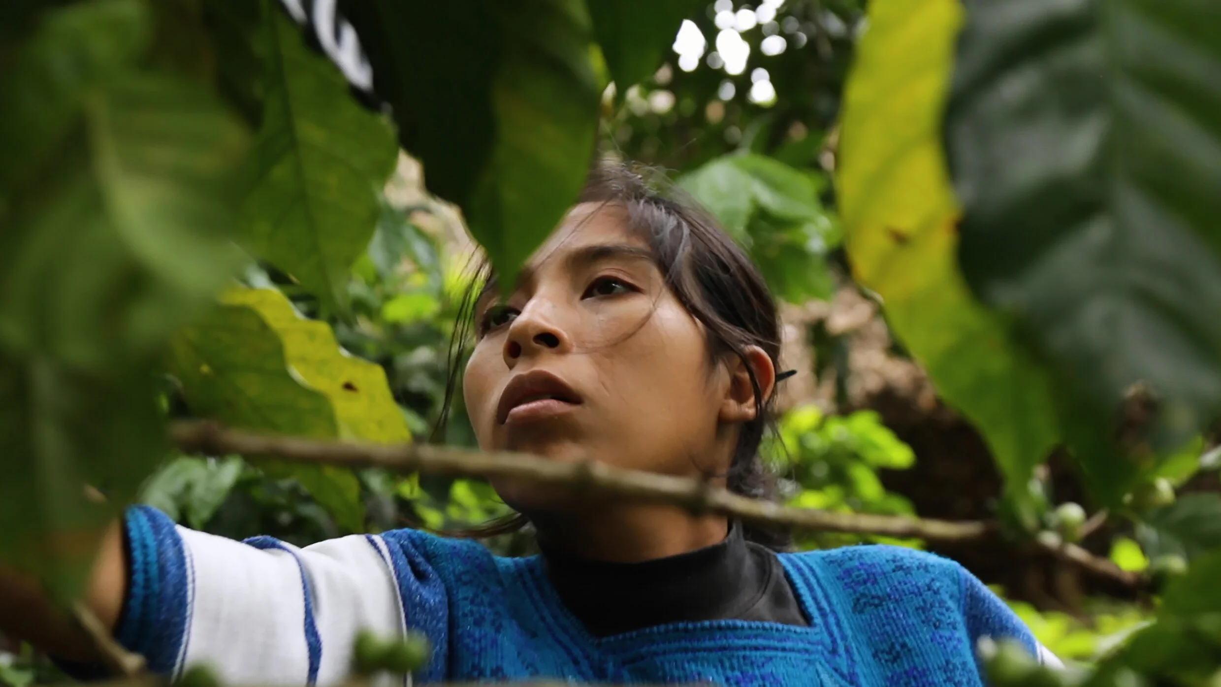 Junax - Still 3 - 300 dpi.jpg