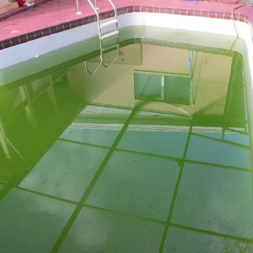 Why Is My Pool Green and How do I fix it? — Clean My Pool