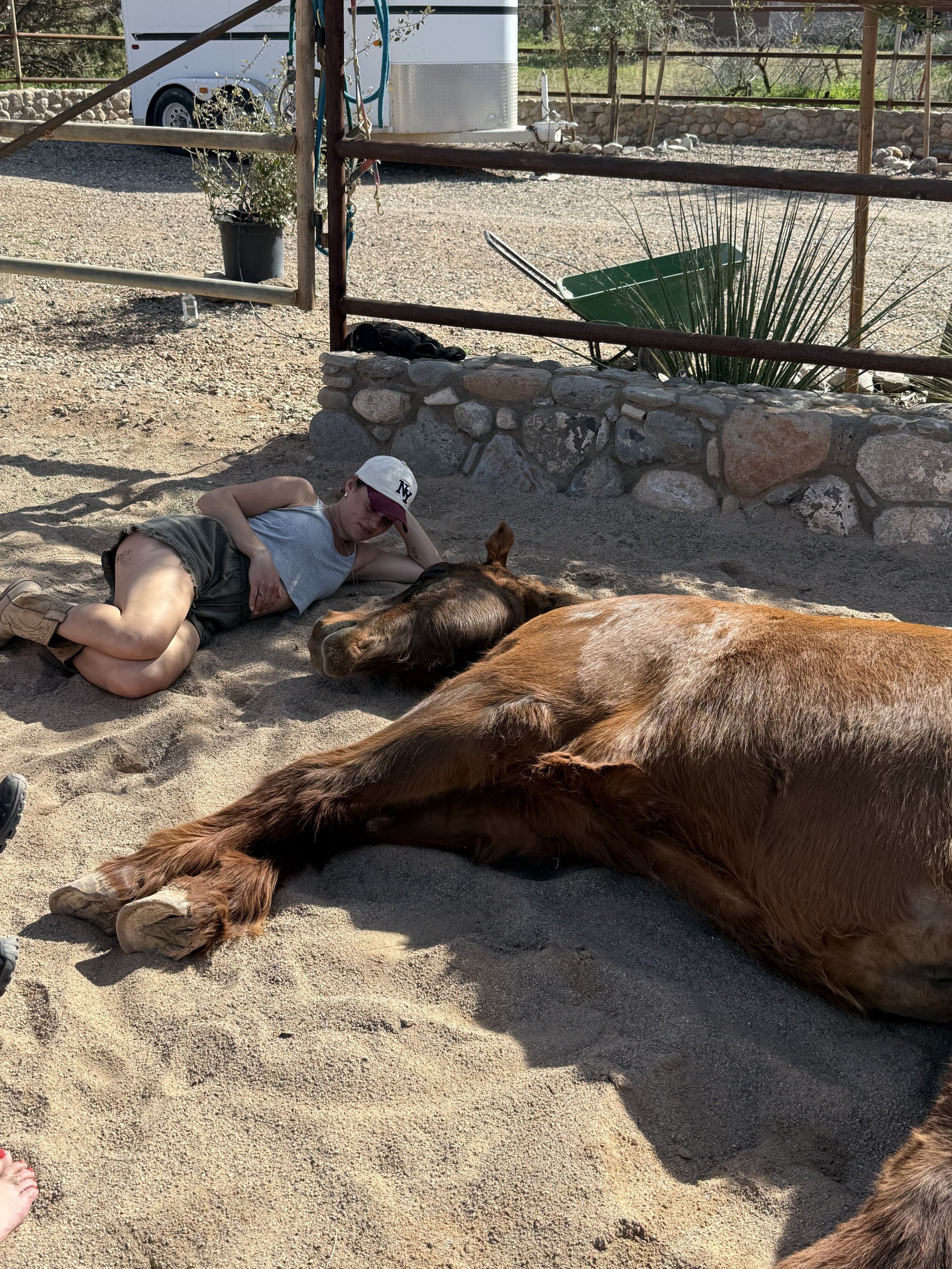 A boy lying on the ground next to a brown horse, resting in a sandy outdoor area enclosed by a wooden fence, with a trailer and some plants in the background.