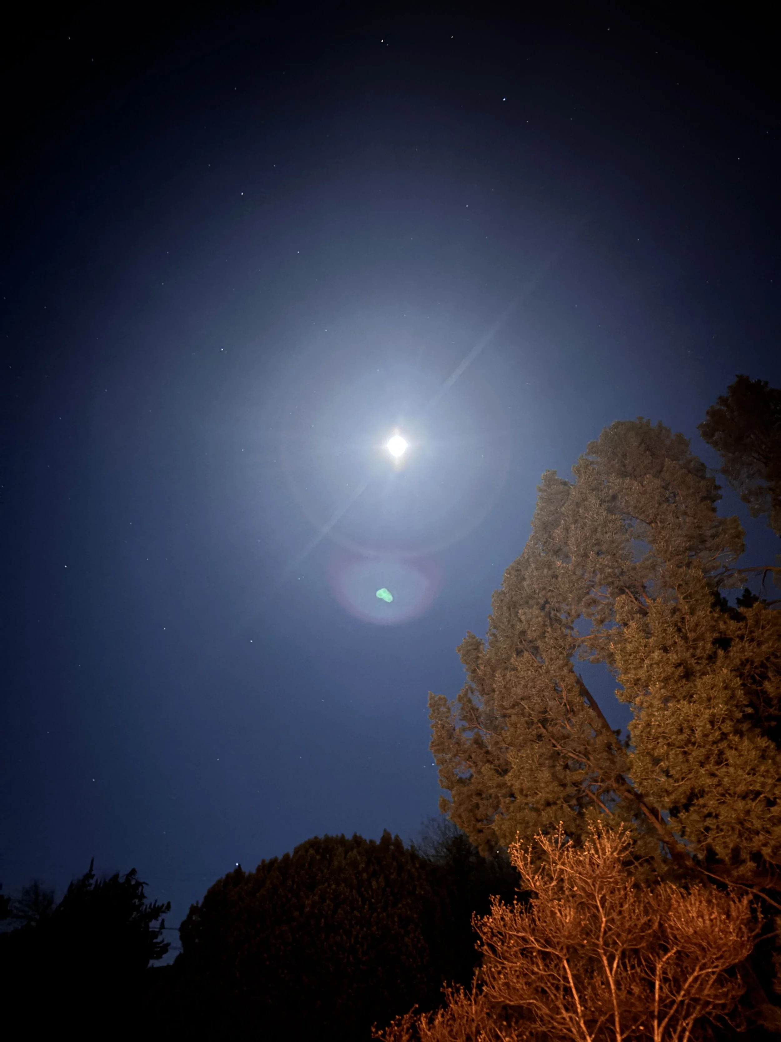 Night sky with bright moon, visible stars, and a few trees in the foreground.