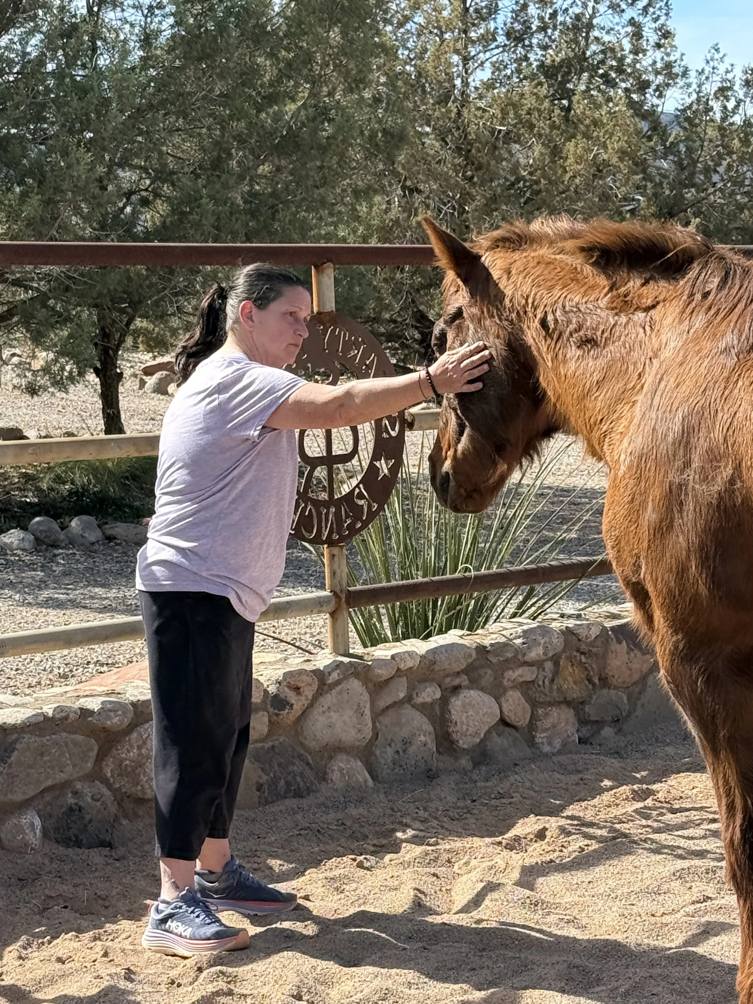 A woman petting a brown horse on its face at an outdoor animal sanctuary, surrounded by trees and rustic wooden fencing.