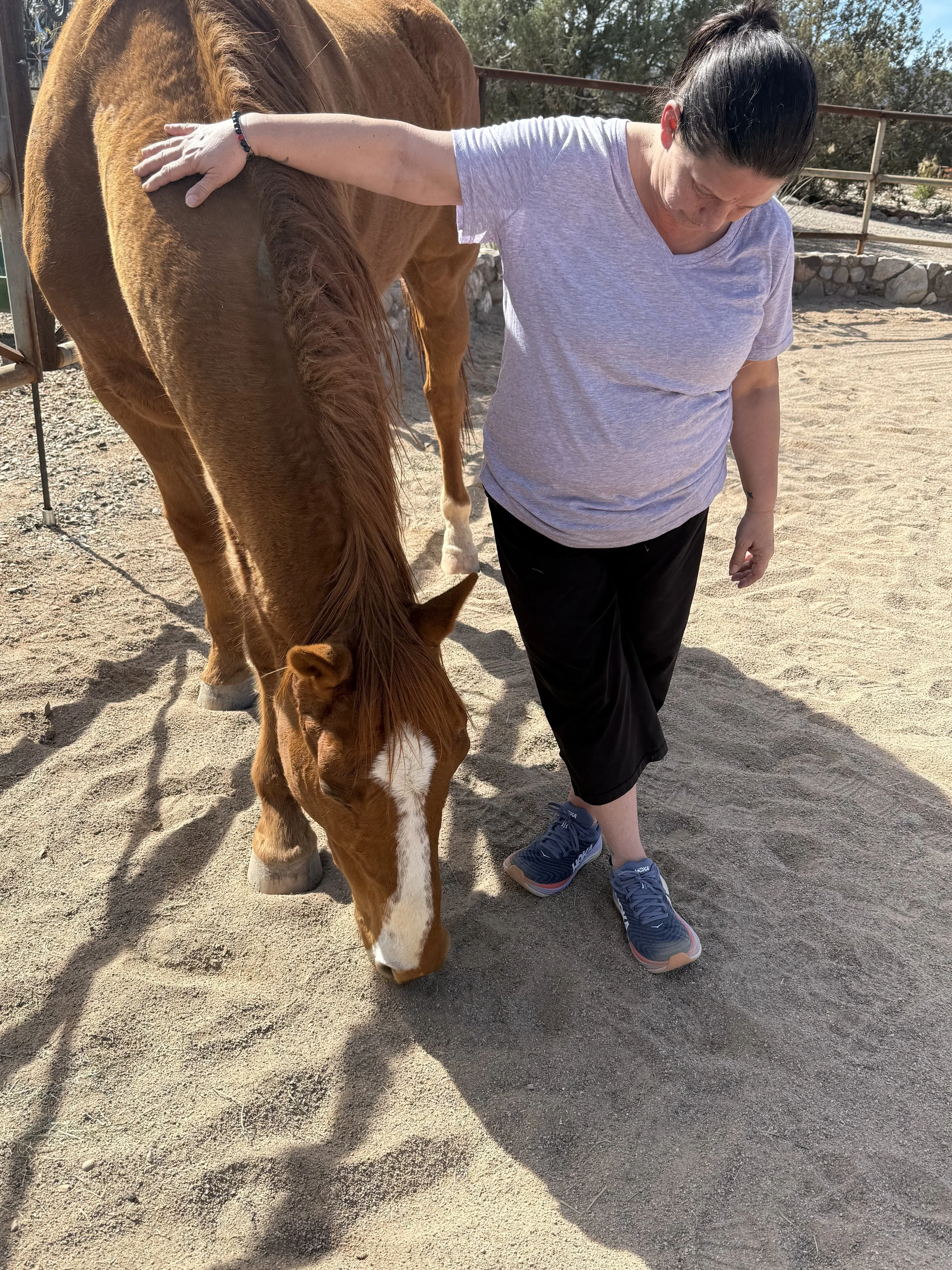 A woman petting a brown horse in an outdoor sandy area with some trees and a fence in the background.