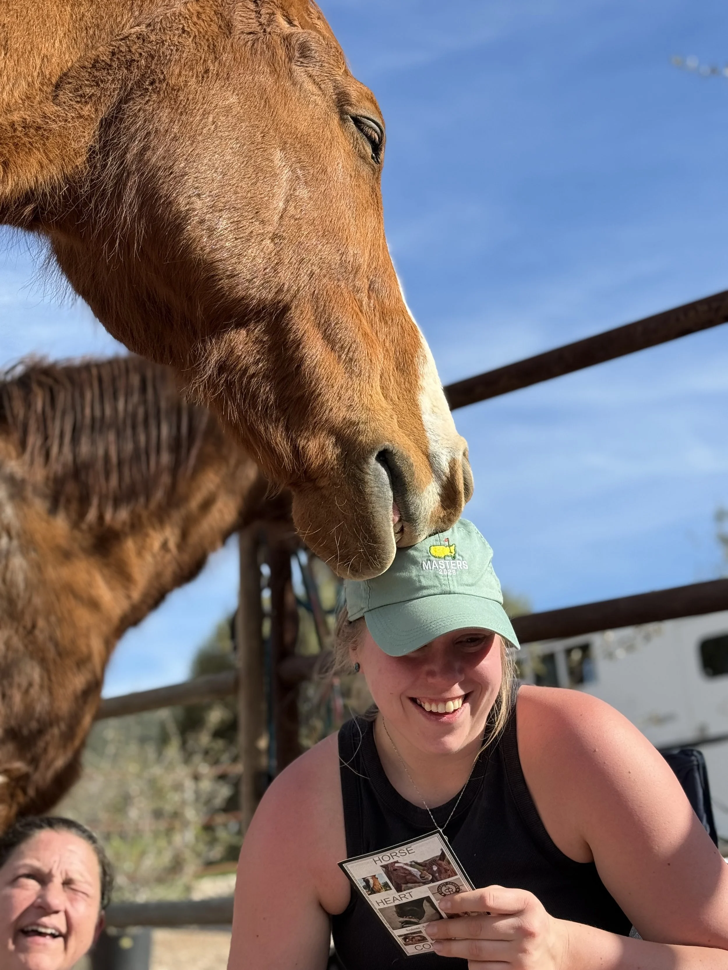 A person with a baseball cap smiling while holding a card, with a horse leaning its head towards them, outdoors on a sunny day.