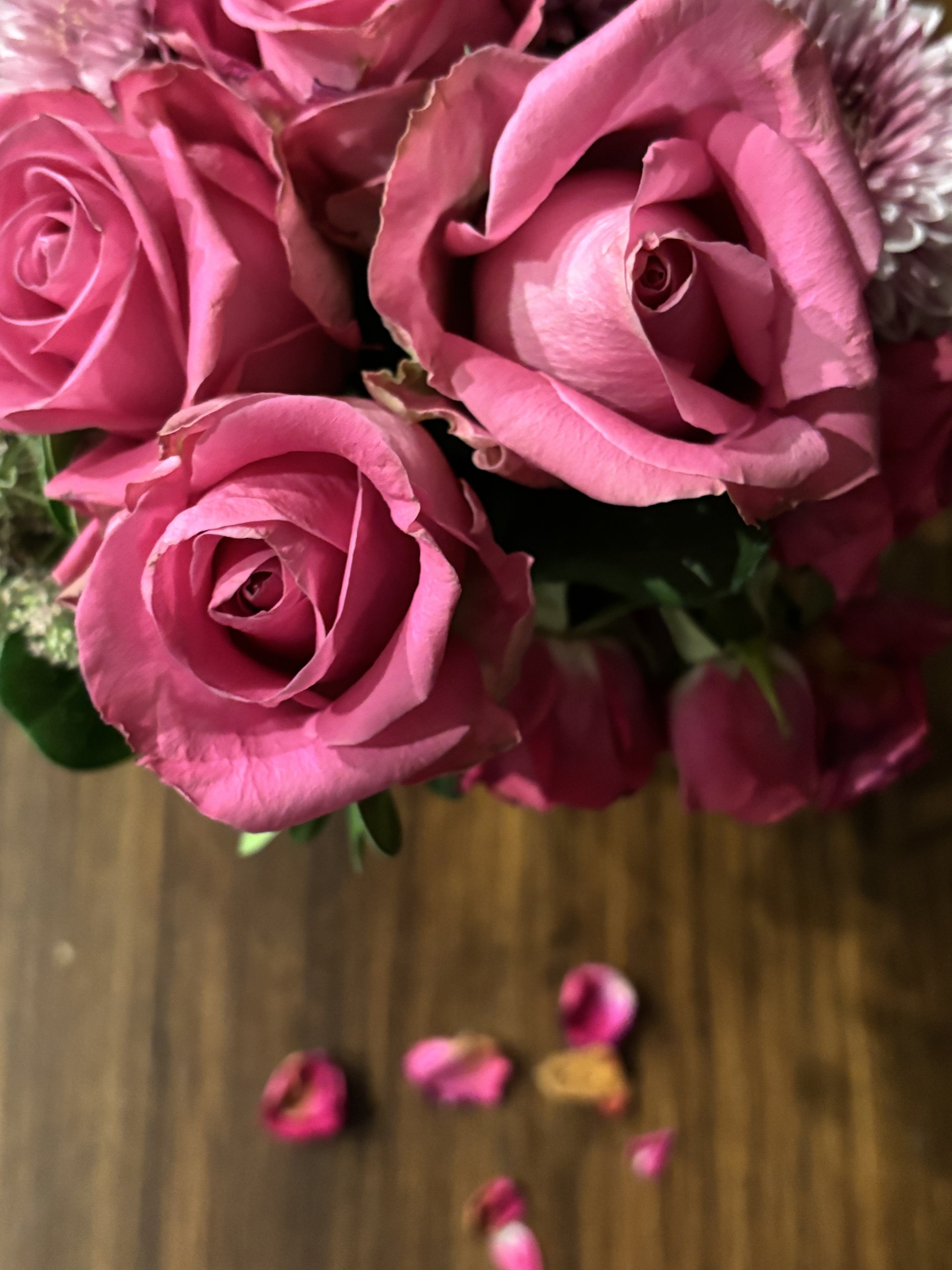Close-up photo of pink roses and petal fragments on a wooden surface.
