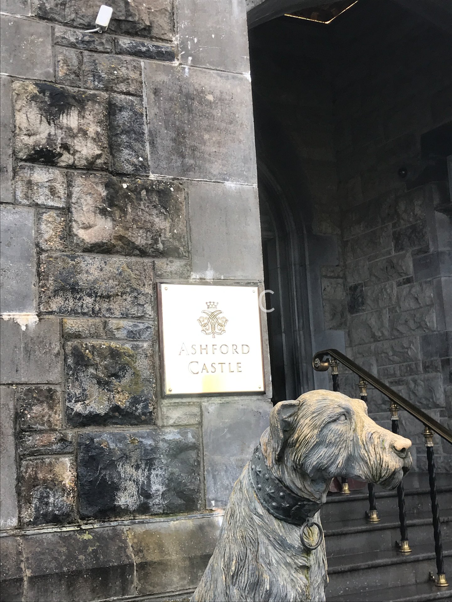 ireland-17.jpg