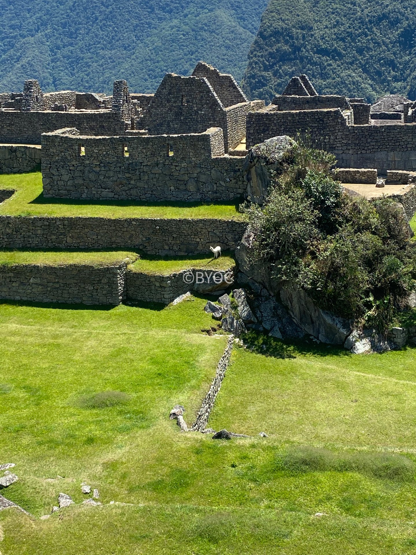 Peru-091.jpg