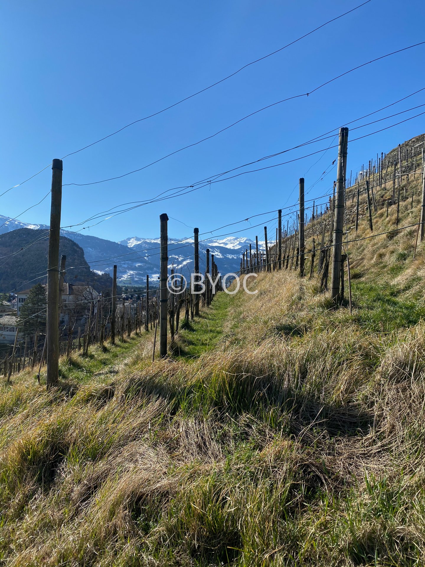 switzerland-40.jpg