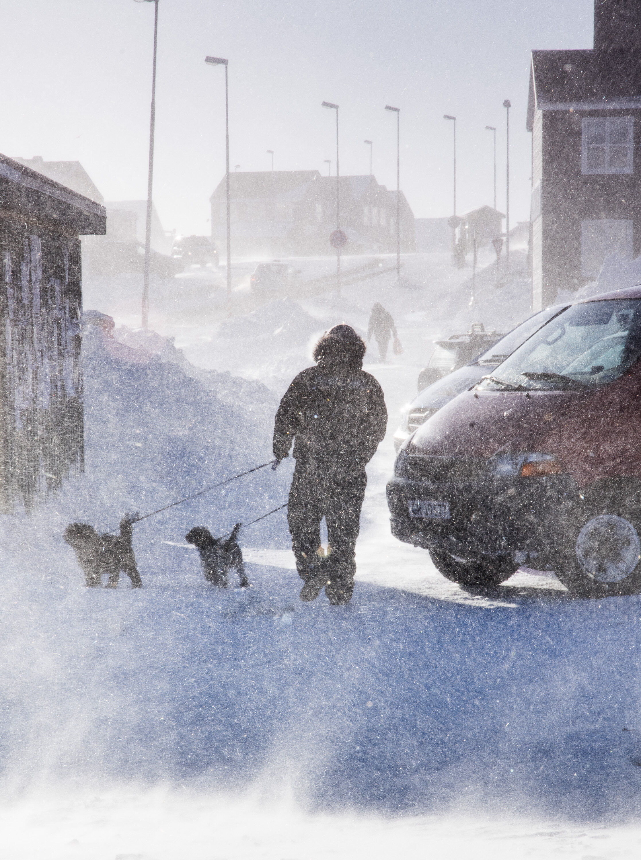 Dog Walker, arctic, Nuuk Greenland