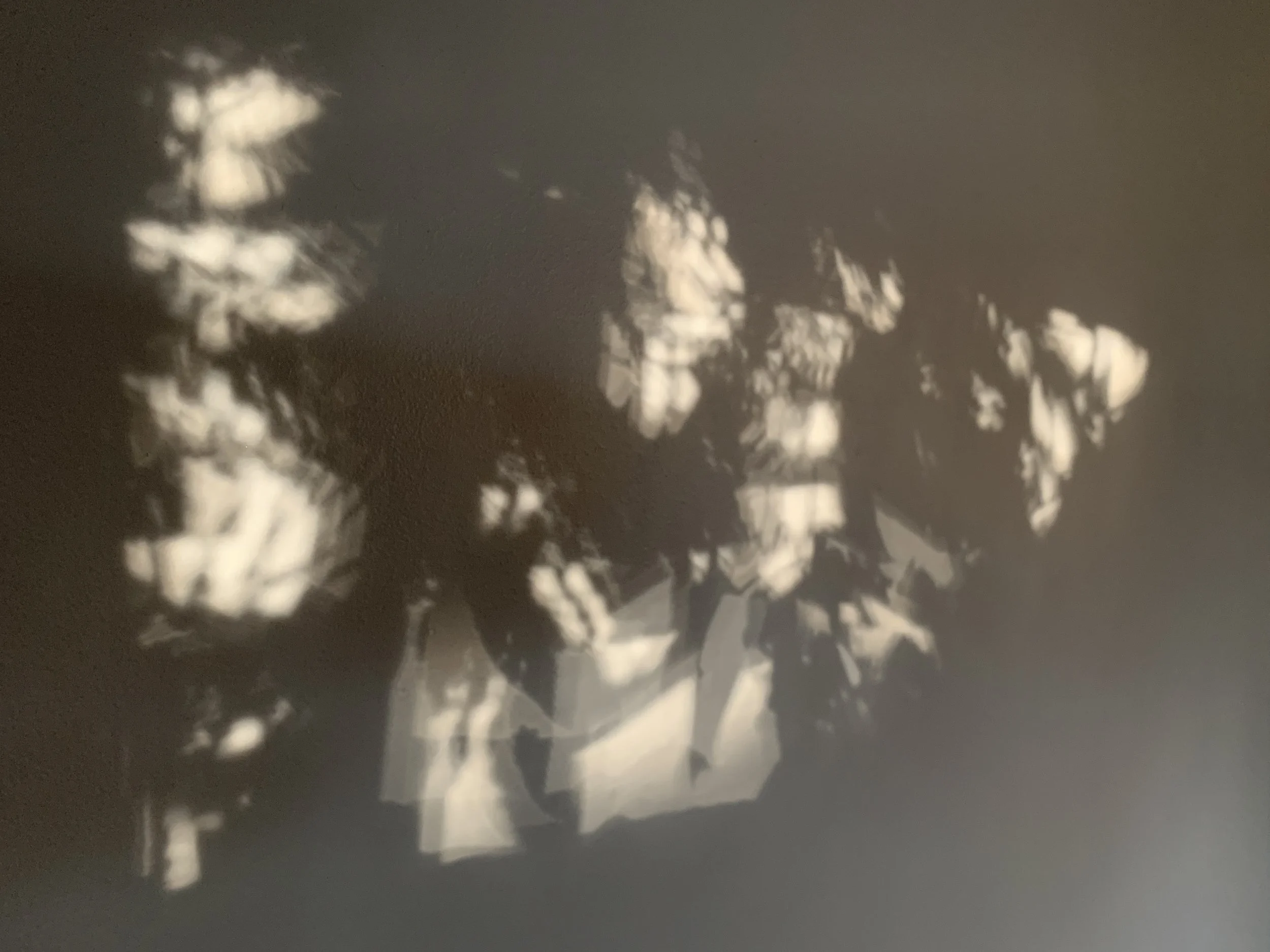 Body Sense: Meditative Ritual