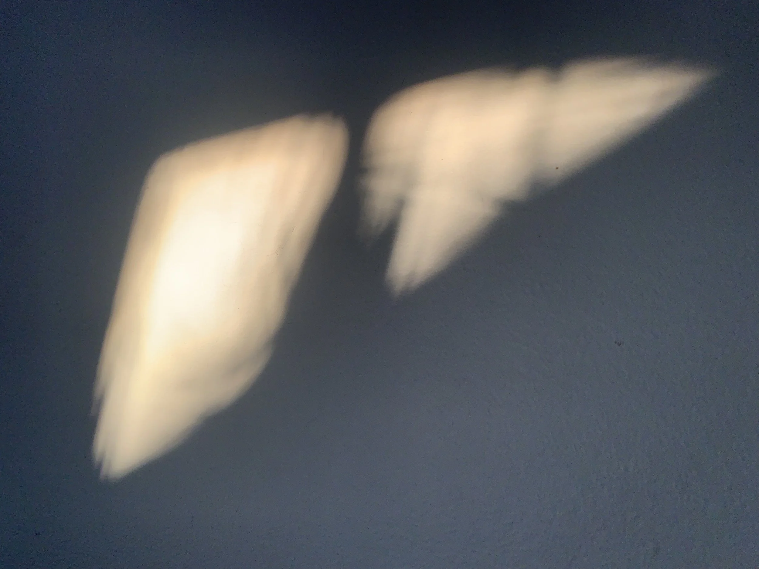 Body Sense: Meditative Ritual