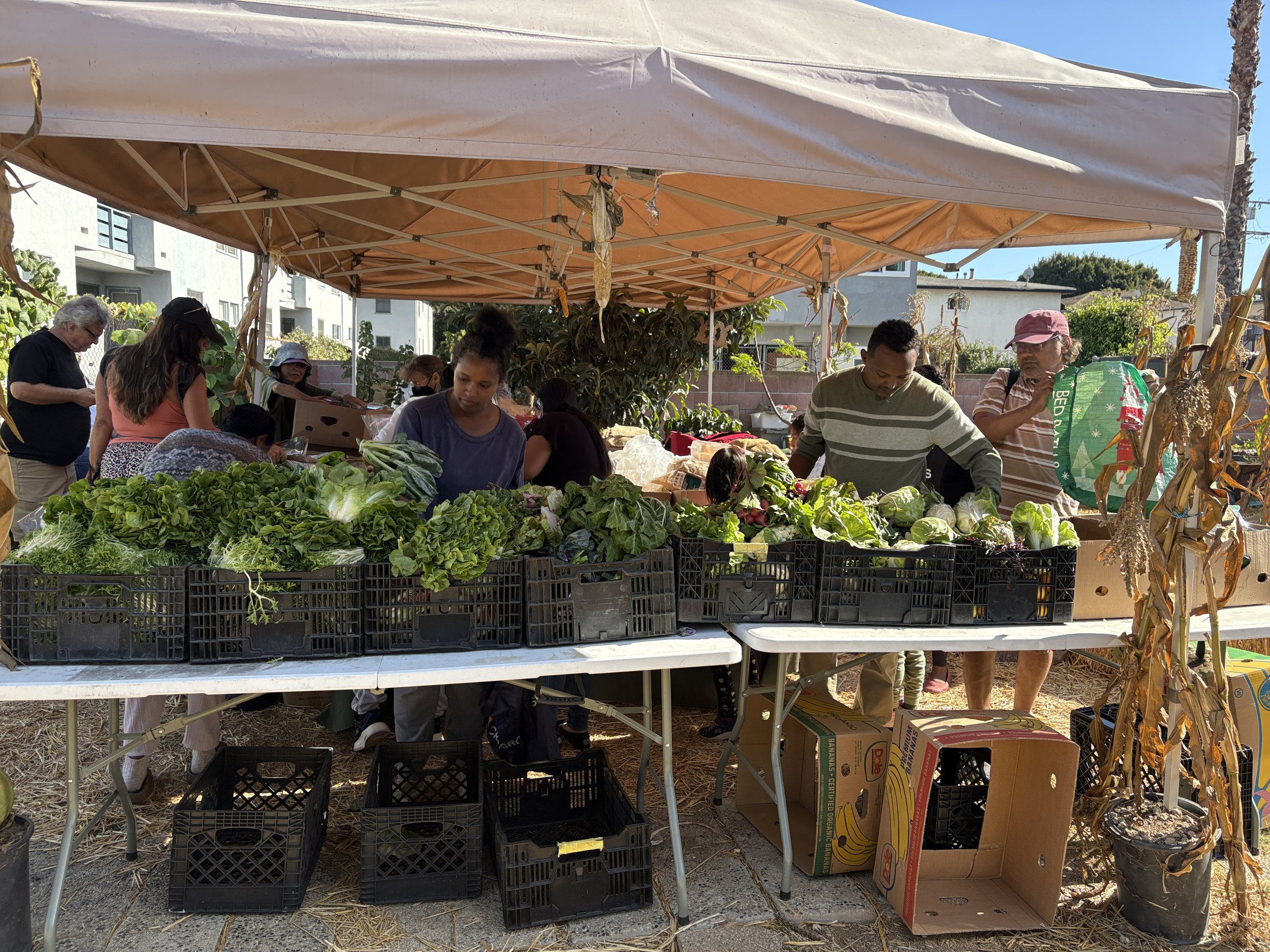 People shopping for fresh vegetables at an outdoor market stall under a beige canopy, with crates of lettuce, cabbage, and other greens on display.