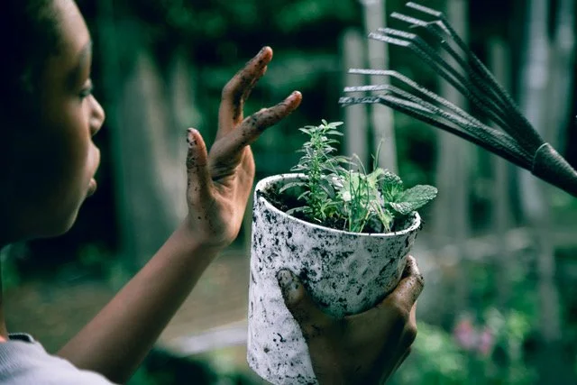 hand gardening magic.jpeg