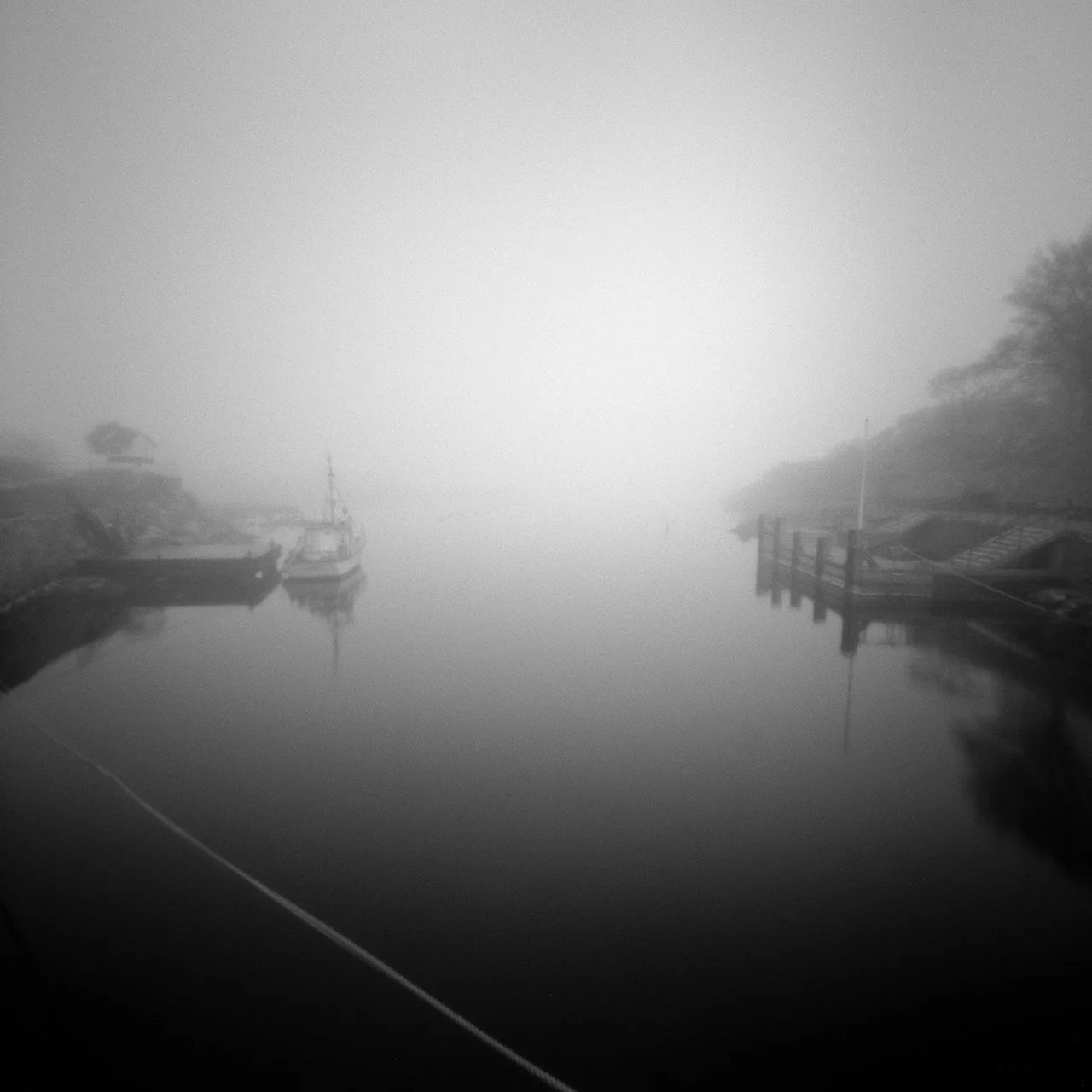 _A7R3852-1A.jpg