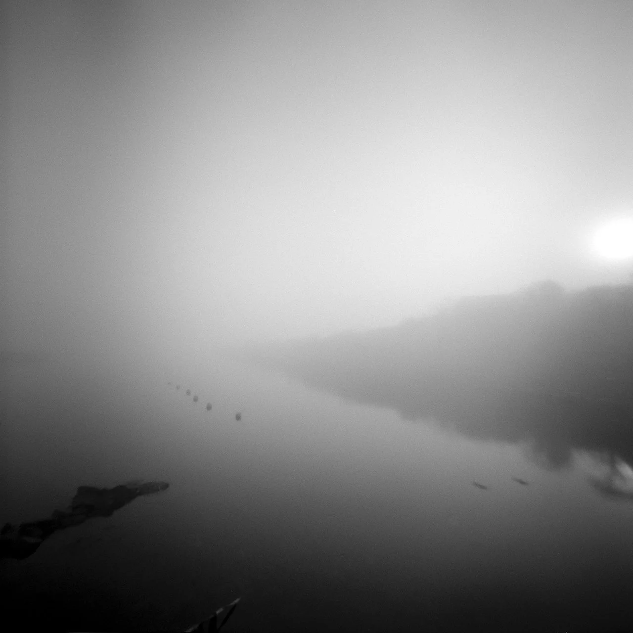 _A7R3841-1A.jpg
