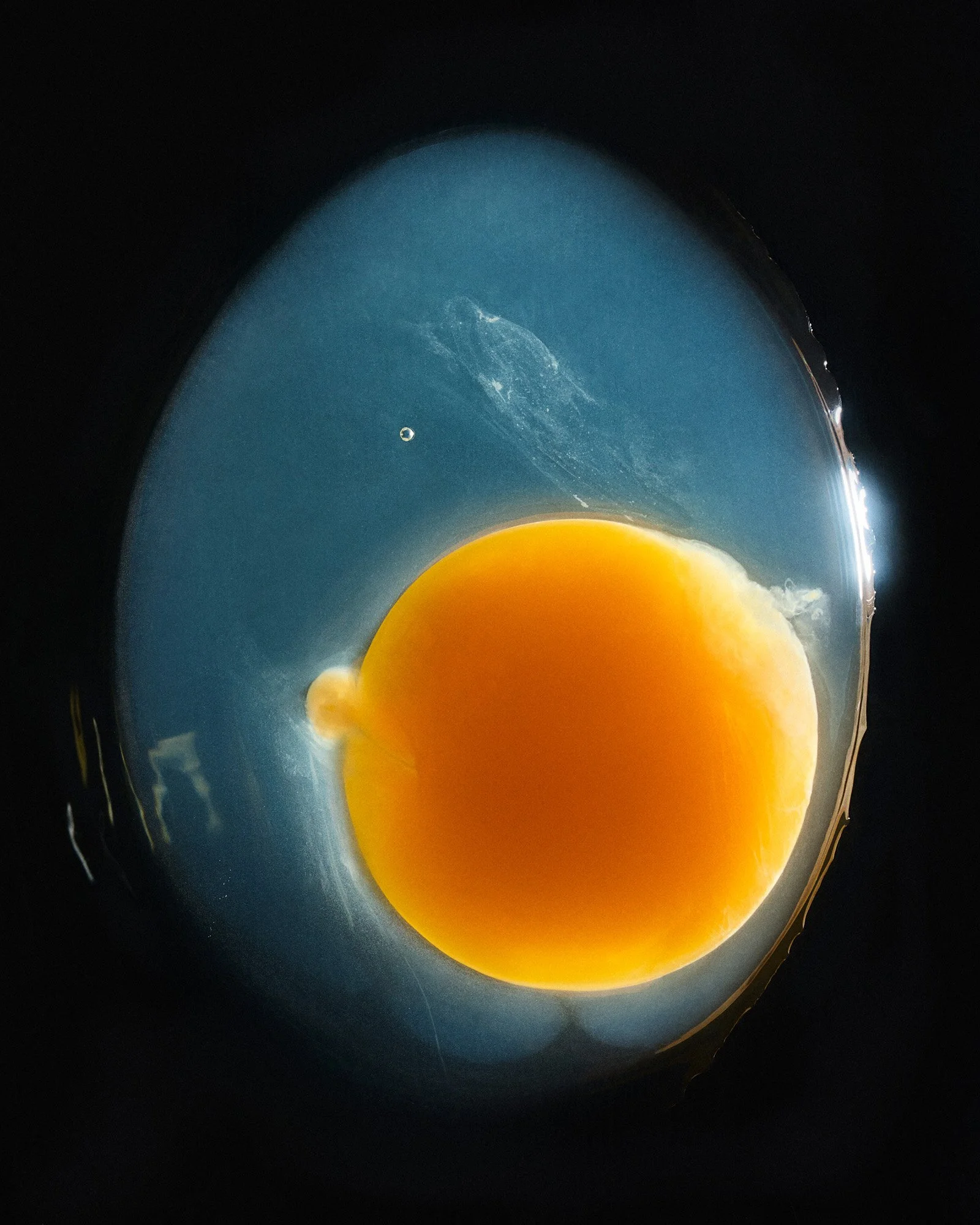 Rikky-Fernandes-2025-1510-Egg.jpg