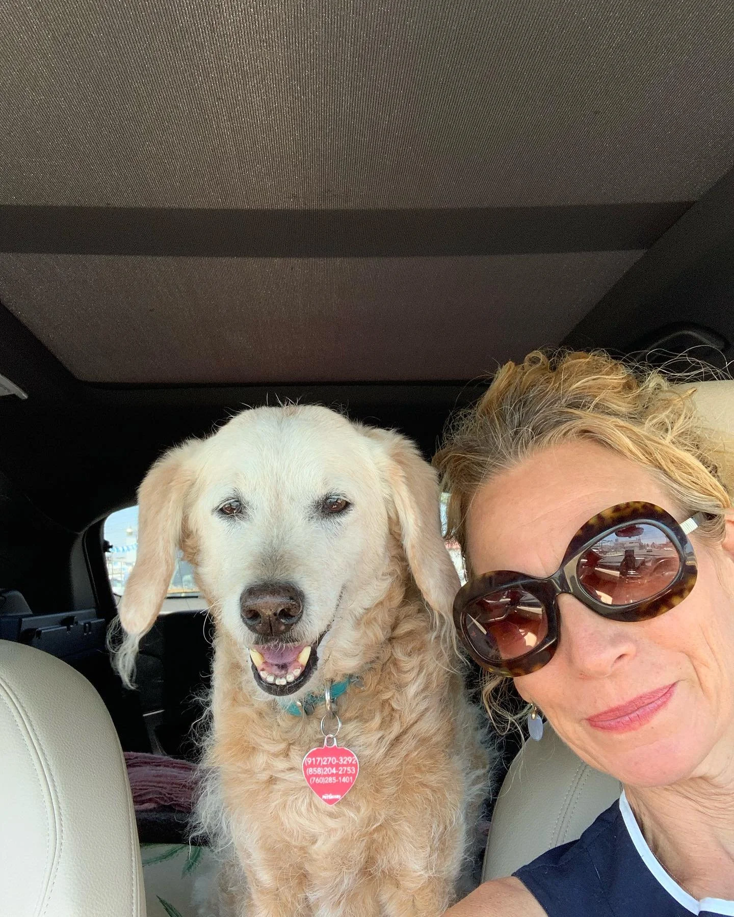 Happy International Dog day to all the 🐶 and all the indelible memories of dogs long gone, like my little @everybodylovesrufus. I used to think I&rsquo;d gotten lucky to get the single best dog in the history of the world. I&rsquo;ve since learned t