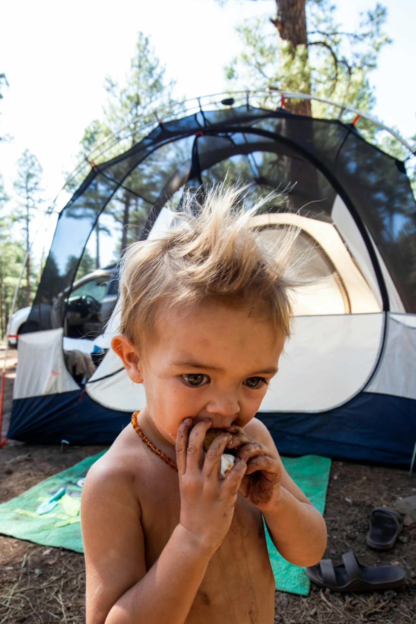 Young child eating outdoors in front of a camping tent surrounded by pine trees