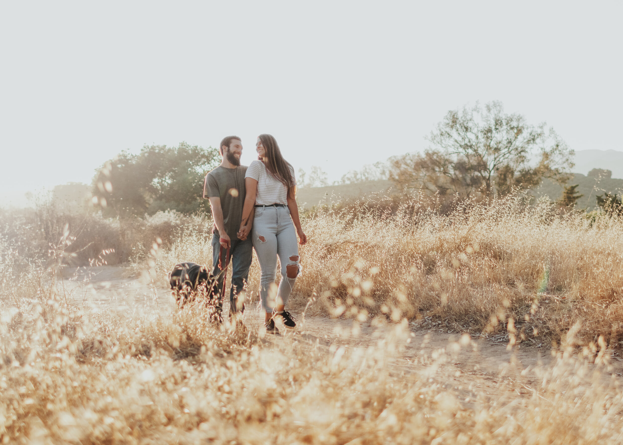Couple walks through golden field with their dog.