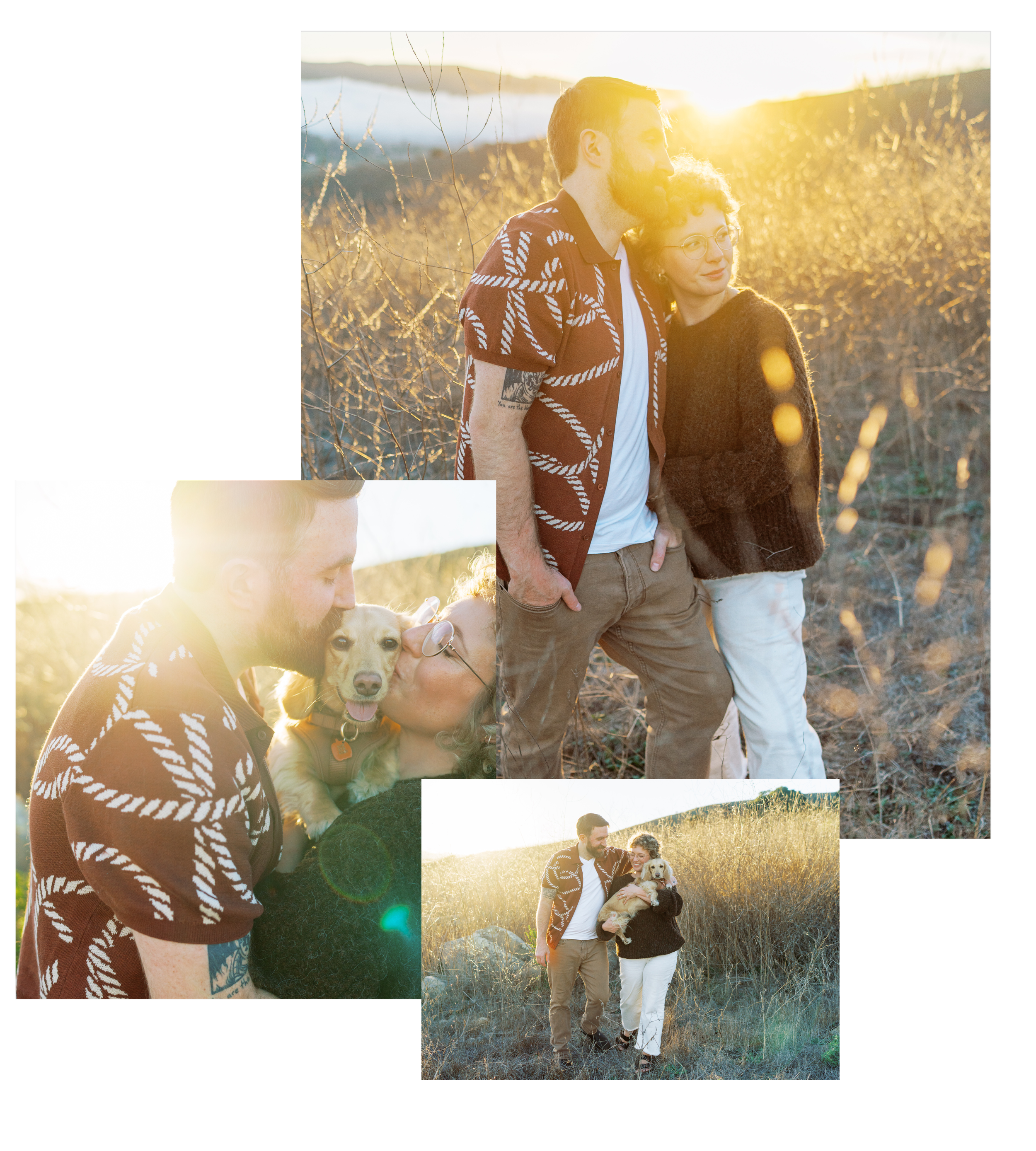 Emma and Lee, lead photographer and videographer, stand in a golden field in Seattle at sunset. They have their dachshund with them.