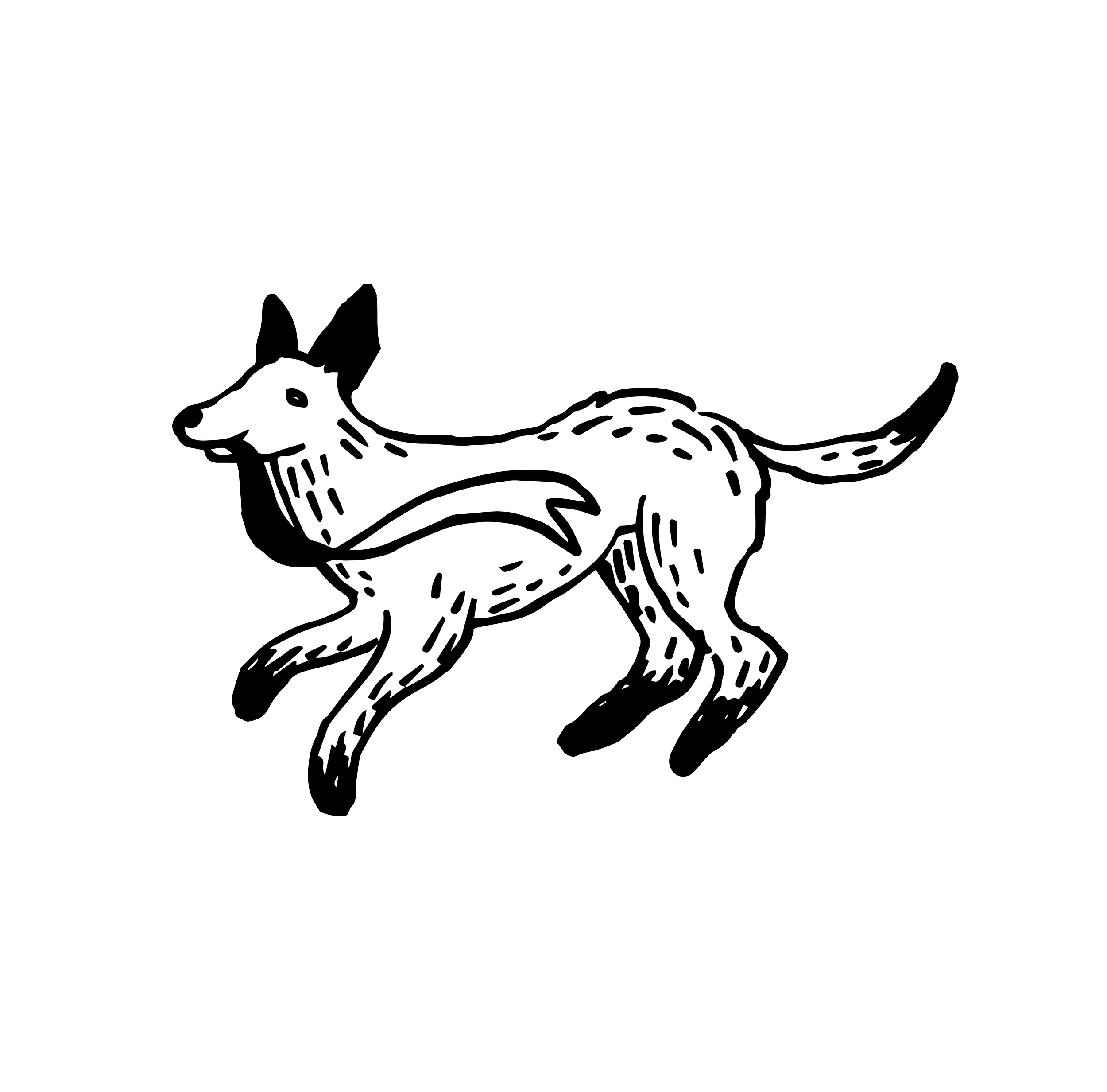 BSG Doggy Bag