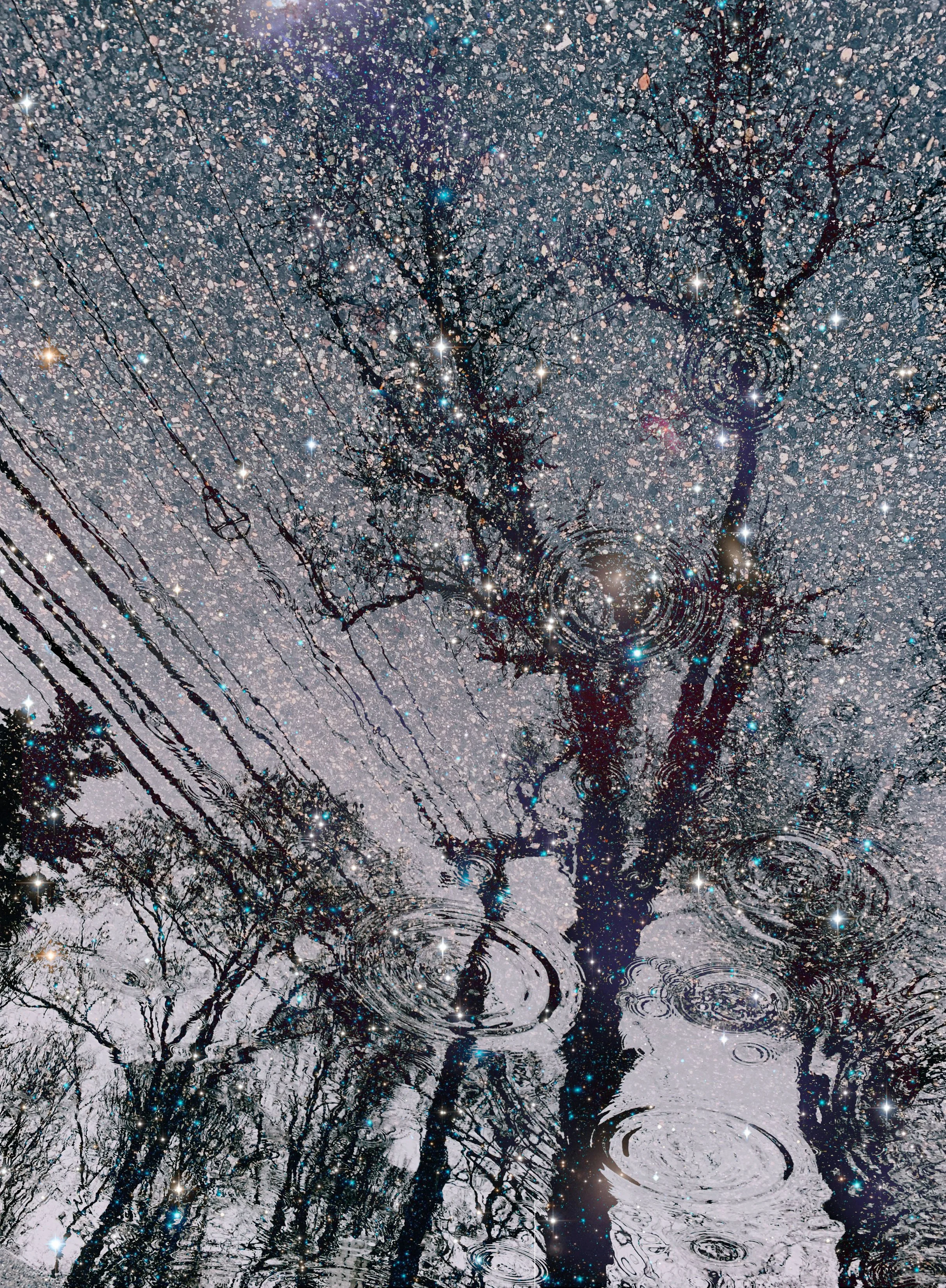 Untitled_Artwork-10.jpg
